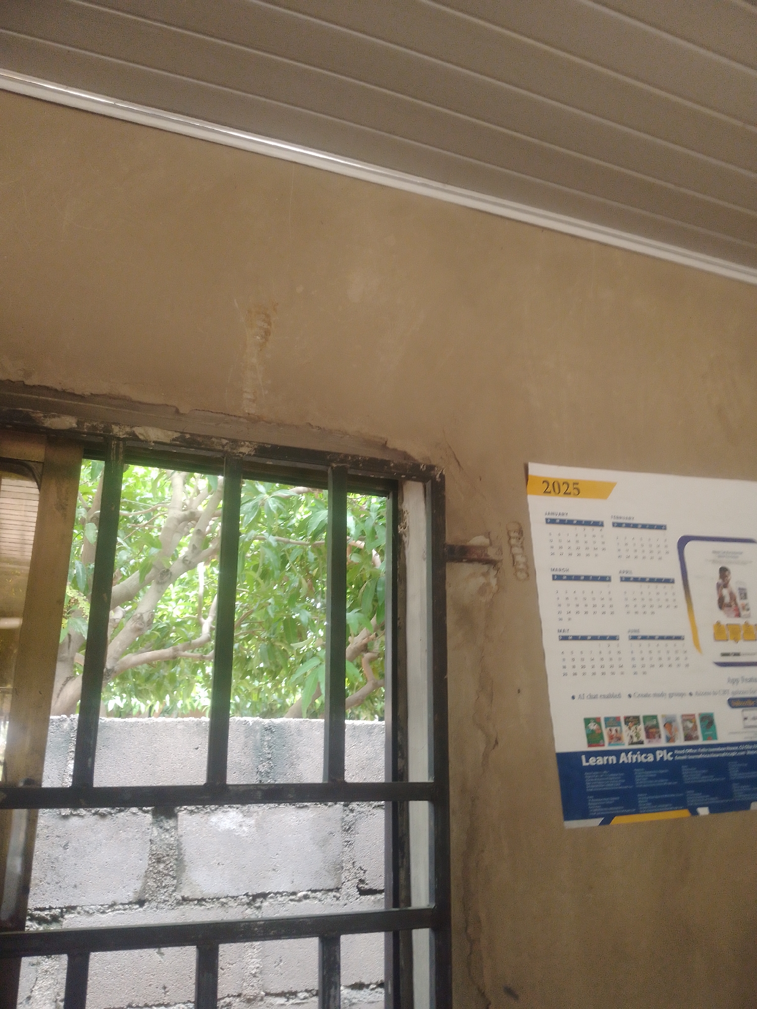 The image shows a calendar for the year 2025 hanging on a beige wall. The calendar displays months such as January, February, March, April, May, and June, each with a grid of dates. Below the calendar, text reads "Learn Africa Plc." On the right side of the calendar, there's an advertisement with images of books and a person.
To the left of the calendar and wall is a window with black bars, offering a view of lush green trees and branches. The trees suggest an outdoor environment, possibly indicating a sunny day due to the bright foliage. The wall itself appears to be rough in texture, with some staining or discoloration visible, particularly around the top and edges of the window frame. The ceiling above the wall has a ribbed, horizontal pattern, likely made of plastic or similar material. The overall scene suggests an interior space looking out onto a natural setting, with the calendar and advertisement providing a focal point on the wall. There are no people visible in the image.