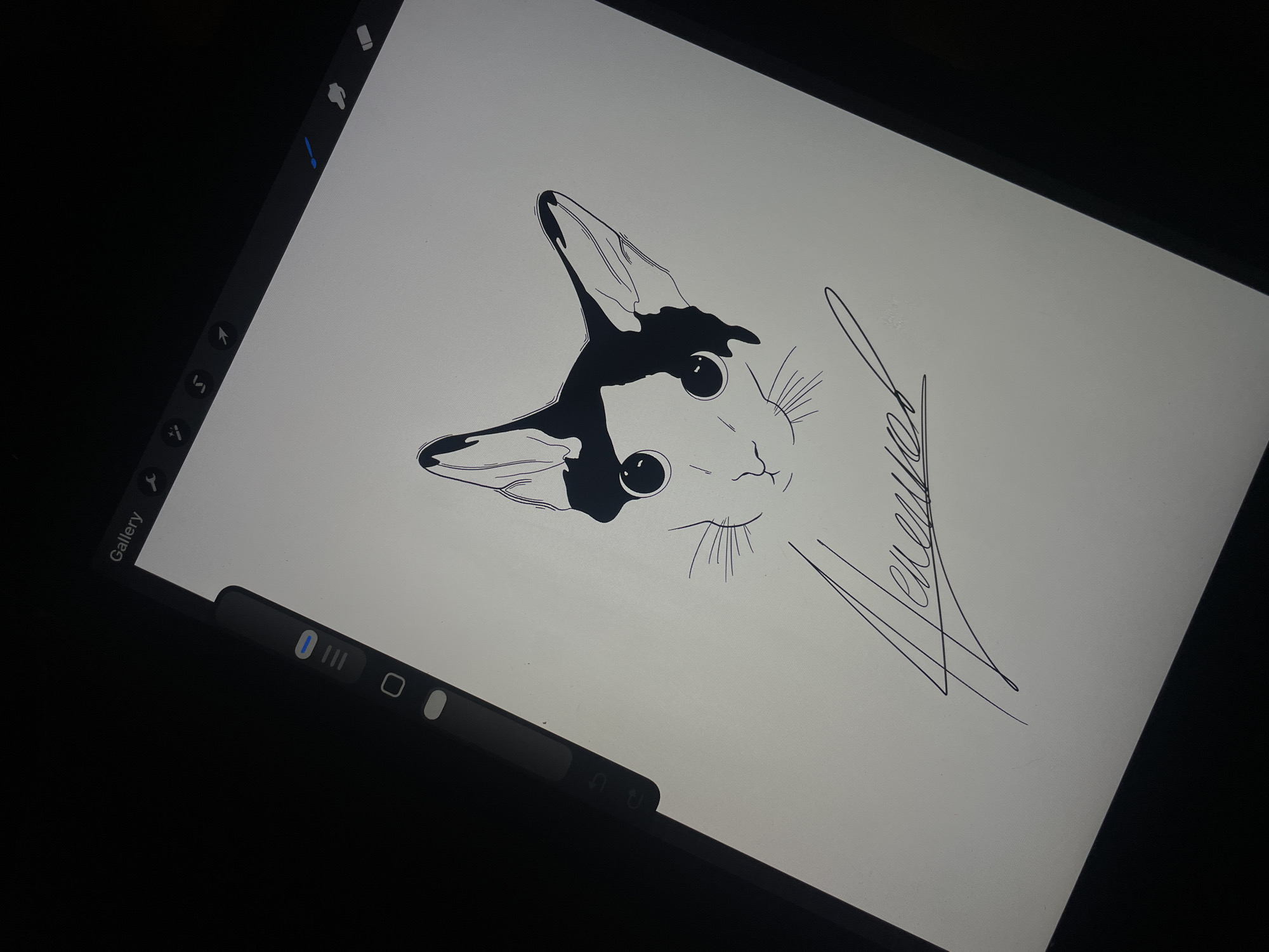 The image is a photograph of an iPad screen displaying a digital drawing of a cat's head. The cat has a distinctive black and white pattern on its head and face, large round eyes, and thin whiskers. The drawing is done in a simple line art style. A signature is present in the lower right corner of the screen. The iPad screen is positioned at an angle, and the surrounding environment is dark. The location is not specified, and the context of the image is unknown.