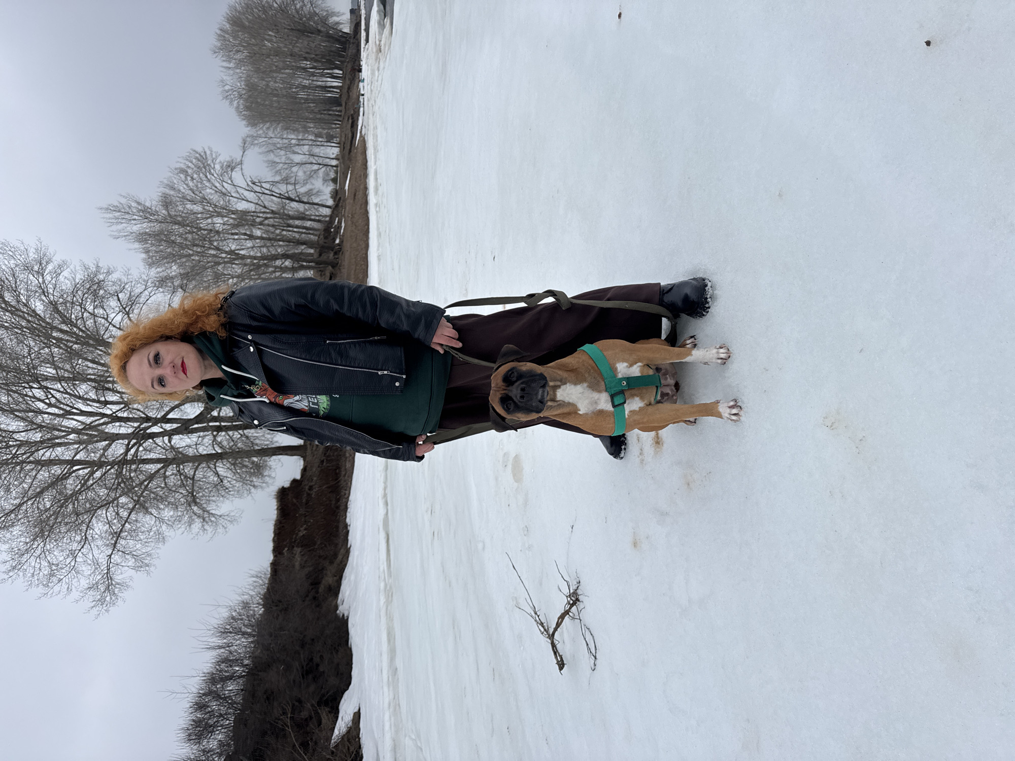 A red-haired woman wearing a black leather jacket and brown trousers stands on a snow-covered surface with a brown and white Boxer dog. The dog wears a green harness and leash. The woman holds the leash. In the background are trees, a bank of dark earth, and a grey sky. The location is identified as Noviy, Russia.