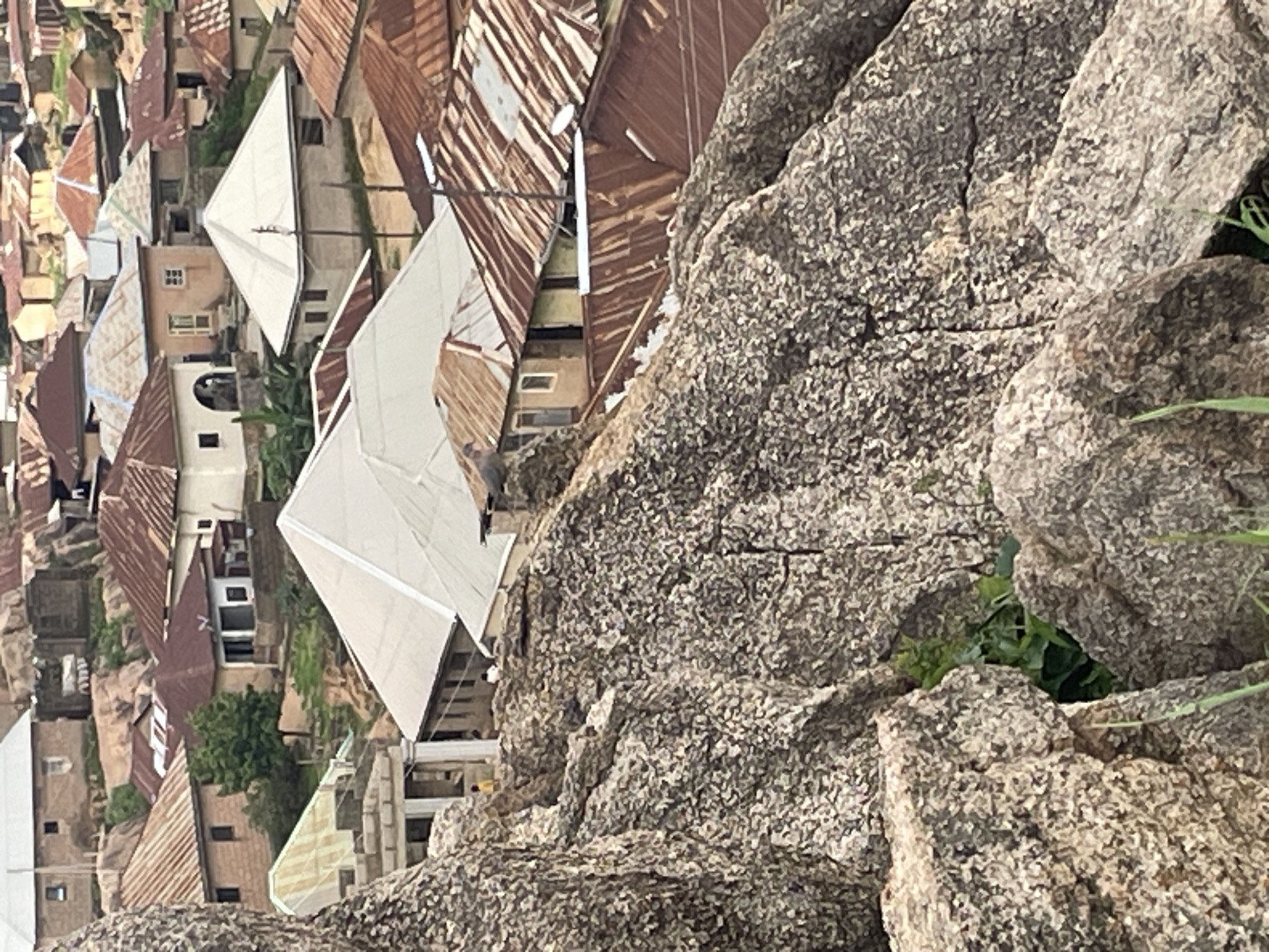 This is a medium-angle shot of a densely packed village with many houses featuring corrugated metal roofs, some of which appear weathered and rusted. The village is situated on a hillside, with structures built close together and varying in height. Some houses have lighter-colored, perhaps more recently constructed, white or light gray roofs. Green vegetation, including trees and bushes, is visible interspersed among the buildings, indicating a possibly tropical or sub-tropical climate.
In the foreground, a large rock formation dominates the right side of the frame. The rock is rough and textured, with a speckled gray and brown appearance. It appears to be a natural element of the landscape where the village is built.
The scene is viewed from an elevated position, looking down on the village and out towards the rocky terrain. The time of day appears to be daytime, with overcast or diffused lighting, as there are no strong shadows. The weather seems calm, with no visible wind or precipitation.
The overall impression is one of a rural or semi-urban settlement built into a natural, rocky environment. The activity is not explicitly shown, but the scene depicts a residential area. There is no visible text in the image.