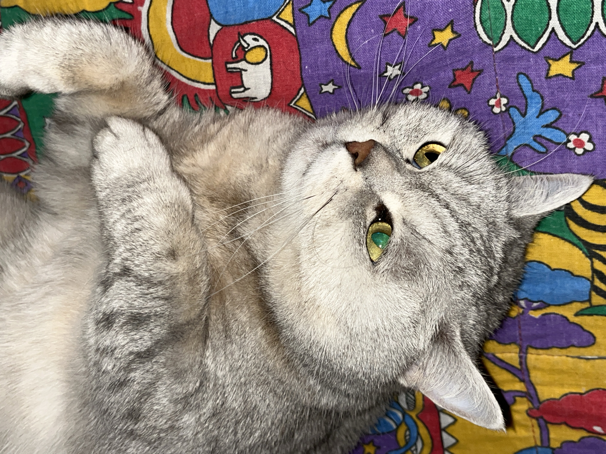 A light gray tabby cat with golden-green eyes is lying on its back on a colorful patterned surface. The cat's paws are curled up near its chest. The patterned surface features abstract shapes, stars, moons, and other motifs in bright colors including red, yellow, purple, blue, and green. The location is not discernible.