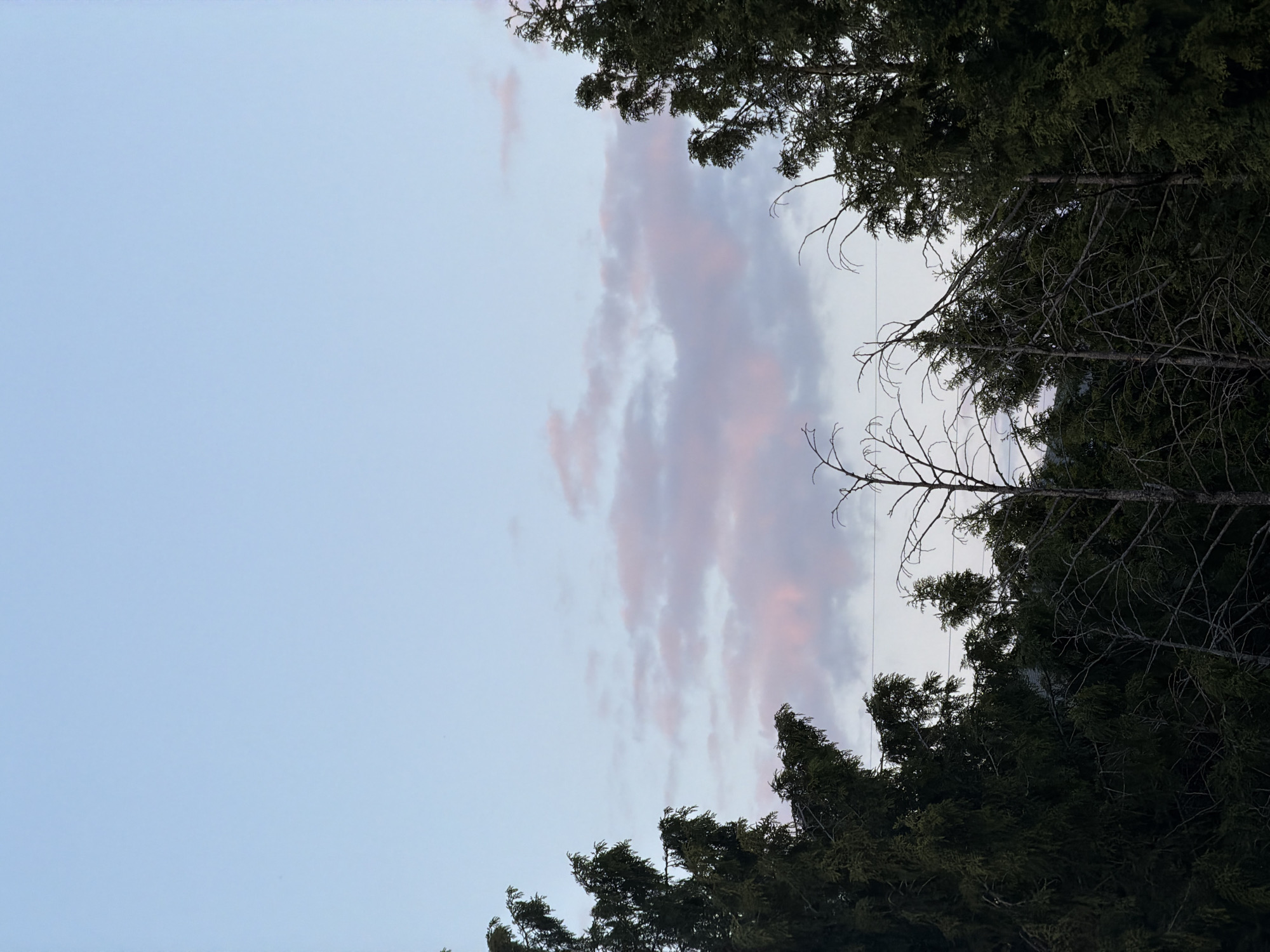 The image depicts a view of the sky through trees, likely taken in a forest or wooded area. The sky is a light blue with some pink-tinged clouds. The trees are mostly evergreen, with some bare branches visible. The image is not specific enough to pinpoint the exact location within Esch-sur-Alzette, Luxembourg. There are no people, subjects, objects, actions, or interactions visible in the image. The environment is a natural one, with the focus on the sky and trees.
