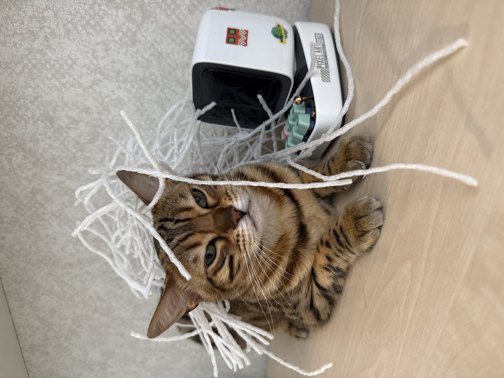 A close-up, angled shot shows a brown and black striped cat laying among scattered strands of white yarn or string. The cat is positioned centrally in the frame, with its head tilted upwards, looking toward the camera. Its green eyes are visible. Above the cat, slightly off to the right, are two white electronic devices. One device bears the label "PIXEL ART 1976" on its side. The scene is set on what appears to be a light brown wooden surface, possibly a table or floor. A lighter beige or gray surface is visible in the upper left of the frame. The location is unknown.