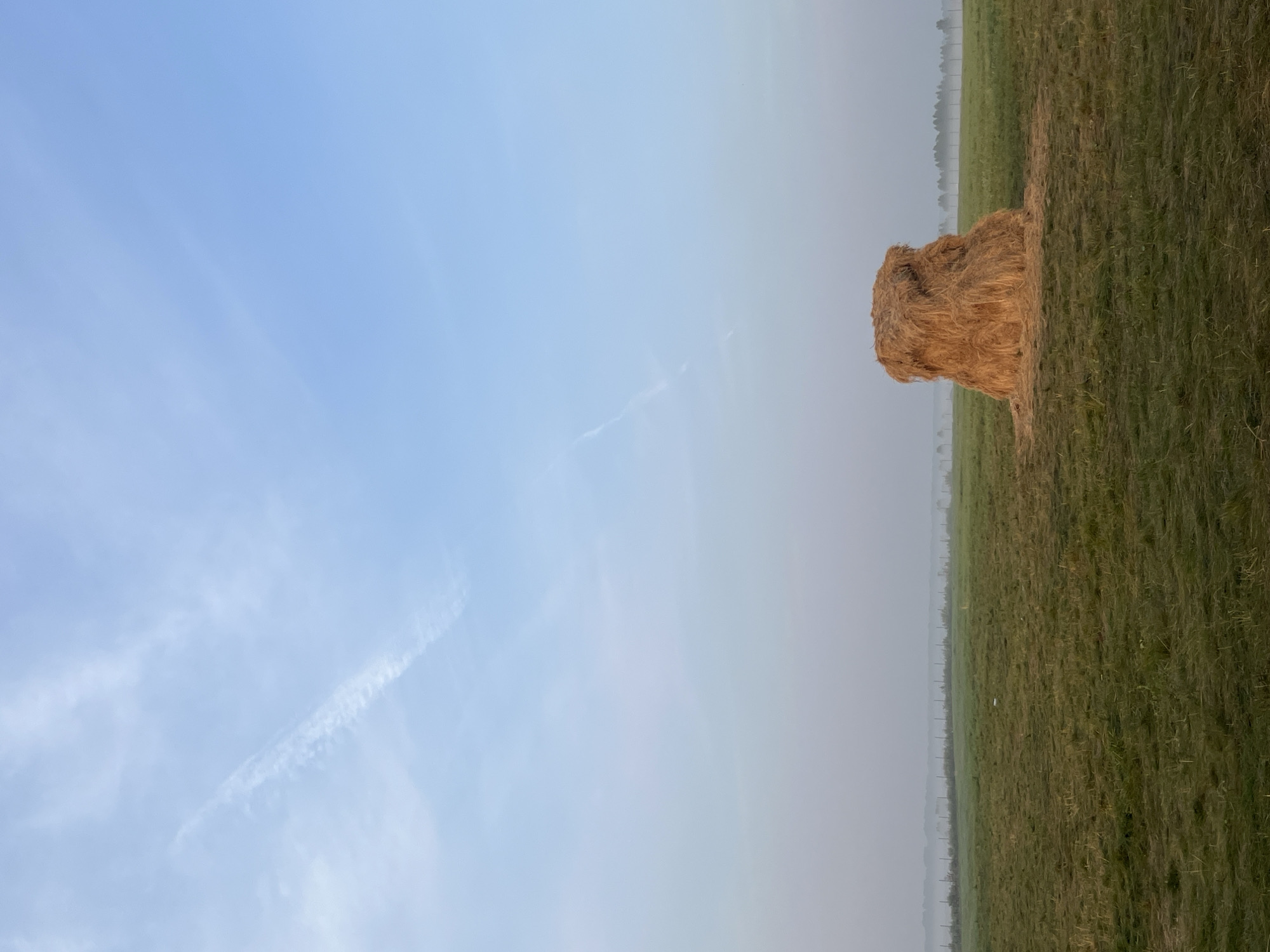 The image depicts a rural landscape in the city of Surakovo, Russia, under a pale blue sky with thin wispy clouds. In the foreground, a lone, large haystack stands in a vast, green grassy field. The grass appears recently cut in some areas, with patches of stubble. In the background, a faint mist or fog hovers over the horizon, obscuring a line of trees and a fence. The overall atmosphere is calm and serene, suggestive of early morning or late evening light. There are no people or animals visible in the scene.