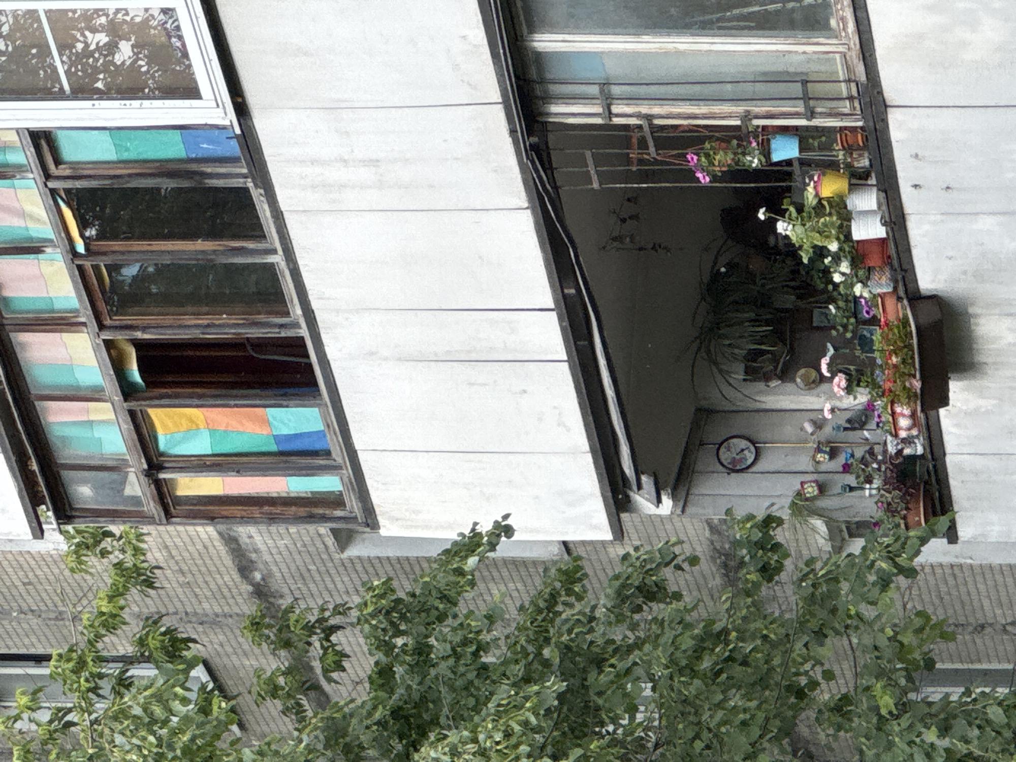 The image displays a close-up, angled view of a section of a multi-story residential building facade, commonly found in urban settings like Moscow, Russia. The lower foreground is dominated by lush green tree branches and leaves, partially obscuring the building's base.
The building's exterior is characterized by light-colored, possibly concrete, paneling. On the left side, a distinctive window unit features several panes. The lower part of this window is adorned with a vibrant, patchwork-like design, using blocks of blue, green, yellow, pink, and orange, reminiscent of stained glass or decorative film, adding a colorful, personalized touch to the facade. Above it, a white-framed window reflects the surrounding environment.
To the right, a balcony or recessed loggia is densely filled with a lively array of potted plants and flowers, functioning as a thriving balcony garden. Various green plants, including a large leafy specimen, are visible, alongside flowering plants boasting pink, white, and yellow blossoms. The pots are arranged on the floor, hung from the railing, and placed on shelves, creating a rich tapestry of flora. A round clock with a floral pattern on its face is mounted on the interior wall of the balcony. Thin black wires are visible running along the building's structure near the balcony.
No people are present. The meticulously maintained garden and decorative window suggest an activity of personalizing and beautifying a living space. The lighting indicates it is daytime, likely under an overcast sky given the soft illumination and lack of harsh shadows. The scene evokes a sense of domesticity and individual expression within an urban architectural context. There is no visible text in the image.