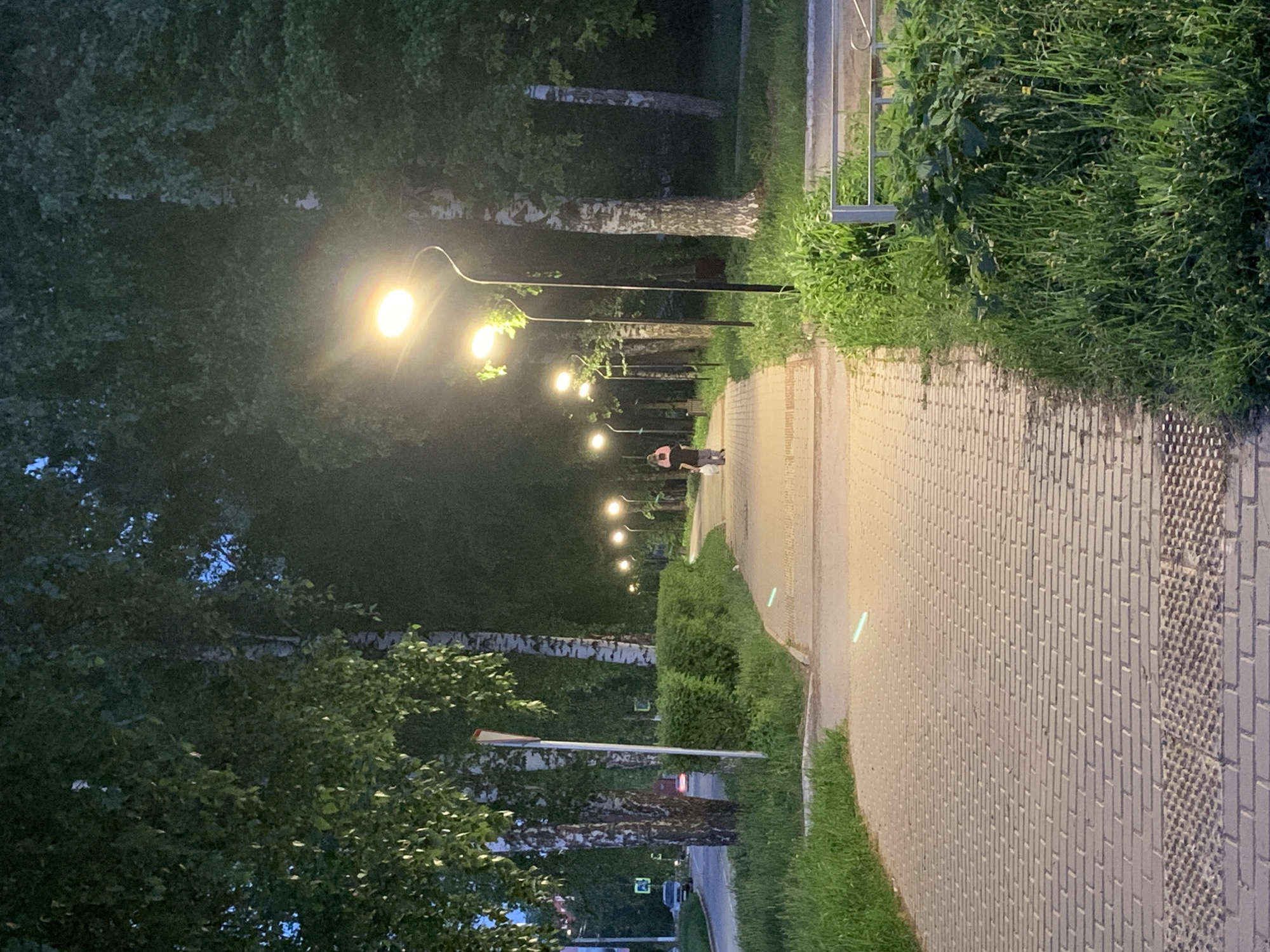 A pathway in Chaikovsky, Russia, is illuminated by a series of streetlights. The pathway is lined with trees and foliage. A person is walking along the path in the distance. The pathway is constructed of light-colored paving stones.