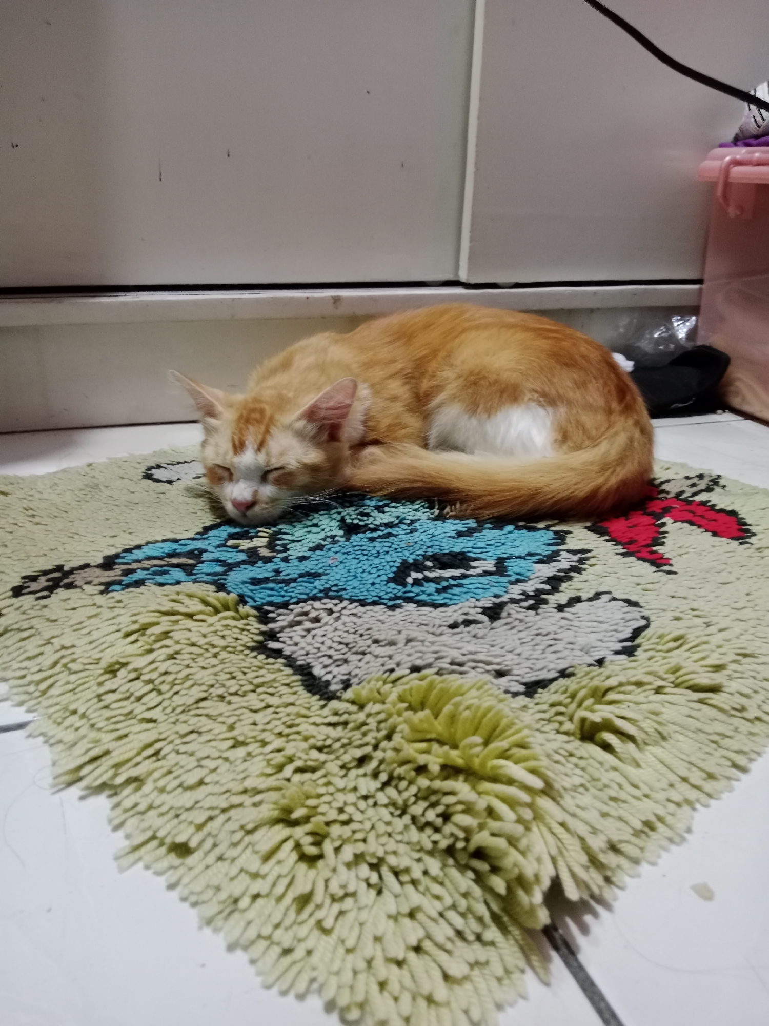 An orange and white cat is sleeping curled up on a rectangular rug with a fuzzy, light green texture. The rug features a colorful, pixelated graphic of a cartoon character, primarily in blue, black, and red. The rug is placed on a white tiled floor. In the background, a portion of a white cabinet or furniture piece is visible, along with a pink plastic container and some dark objects, possibly clothing or bags. A black cable snakes across the top of the frame. The scene appears to be indoors, likely in a residential setting.