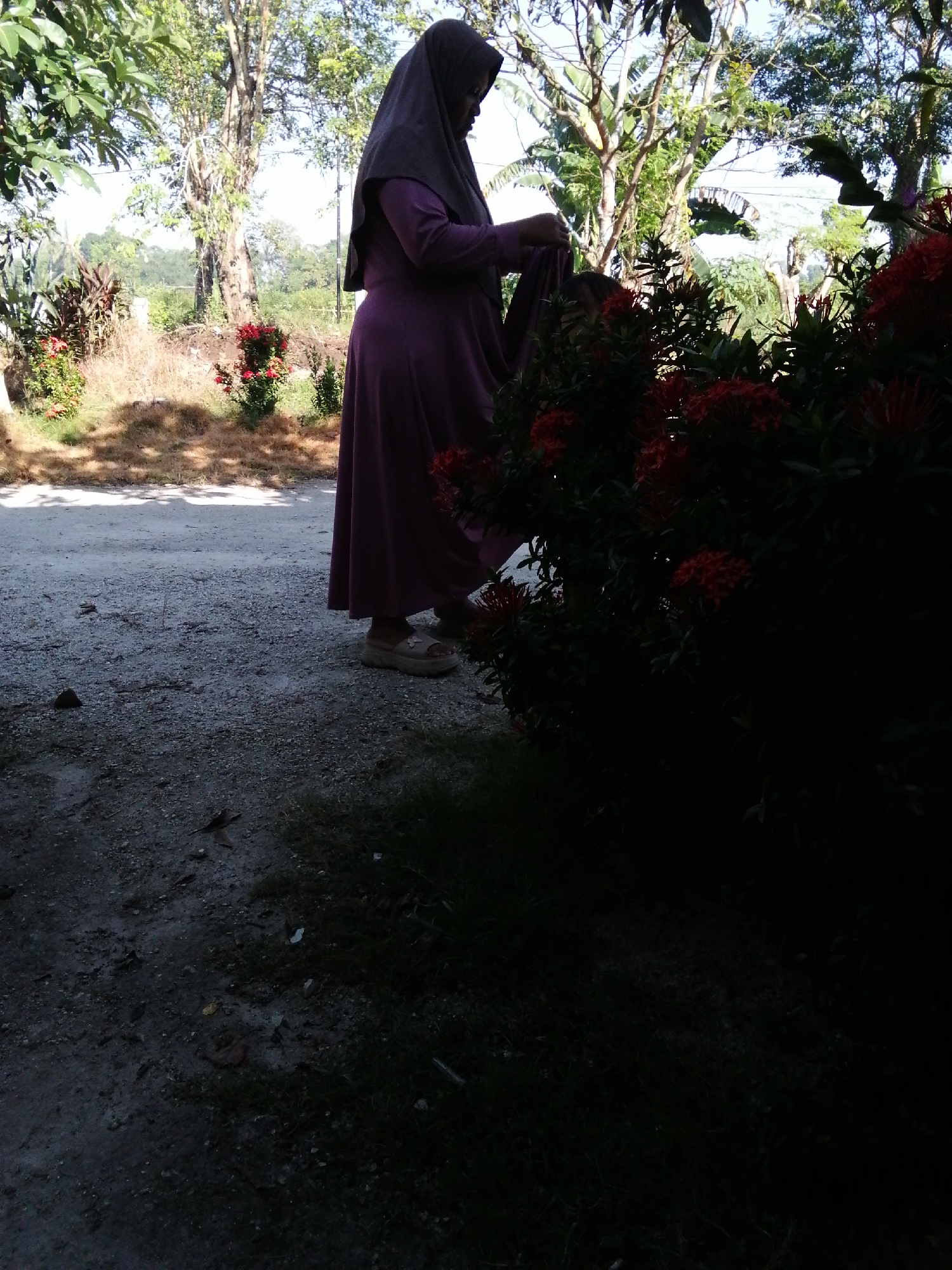 A woman wearing a hijab and a long purple dress stands outdoors, partially obscured by a dark bush with red flowers. She is facing away from the camera and appears to be looking down at something in her hands. The ground is a mix of gravel and dirt, with patches of grass. In the background, there are trees and a clear sky. The lighting suggests it is daytime, possibly late afternoon due to the shadows.