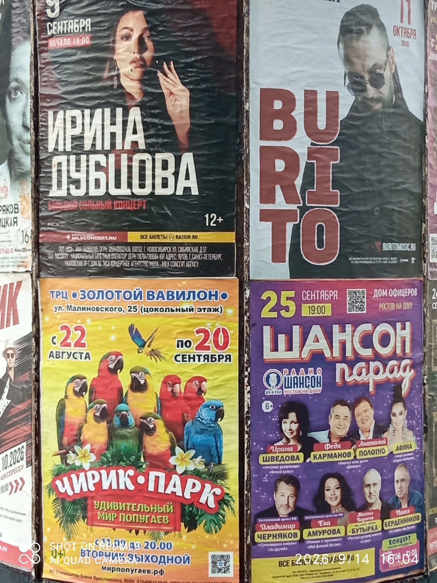The image displays a collection of posters pasted on a wall. The posters advertise various events, including concerts and an exhibition. One poster features the singer Irina Dubtsova for a concert on September 9th. Another poster advertises Burito for a concert on October 11th. A third poster announces "Cirque-Park: Amazing World of Parrots" with an opening on August 22nd and closing on September 20th. The fourth poster promotes "Chanson Parade" on September 25th at 19:00 at the House of Officers in Rostov-on-Don, Russia. The fifth poster appears to be an advertisement for a concert or event with the date 10.20.2026. The posters are layered and some are torn, indicating they have been displayed for some time. The environment appears to be an outdoor setting, possibly a street, with the posters mounted on a vertical surface. There are watermarks present on the bottom left and bottom right of the image.