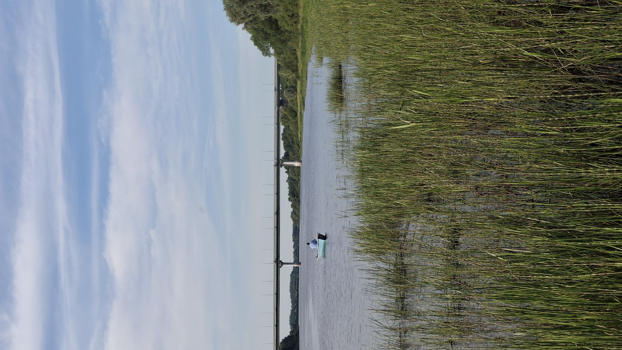 A lone fisherman in a light blue rowboat is on a calm river under a partly cloudy sky. The river is lined with tall, green reeds on the right side of the image. In the background, a long bridge crosses the river. The bridge is supported by concrete piers and has streetlights running along its length. Dense green trees and foliage are visible on the far bank of the river. The overall scene depicts a serene, natural landscape with human activity. This location is identified as Sitno, Russia.