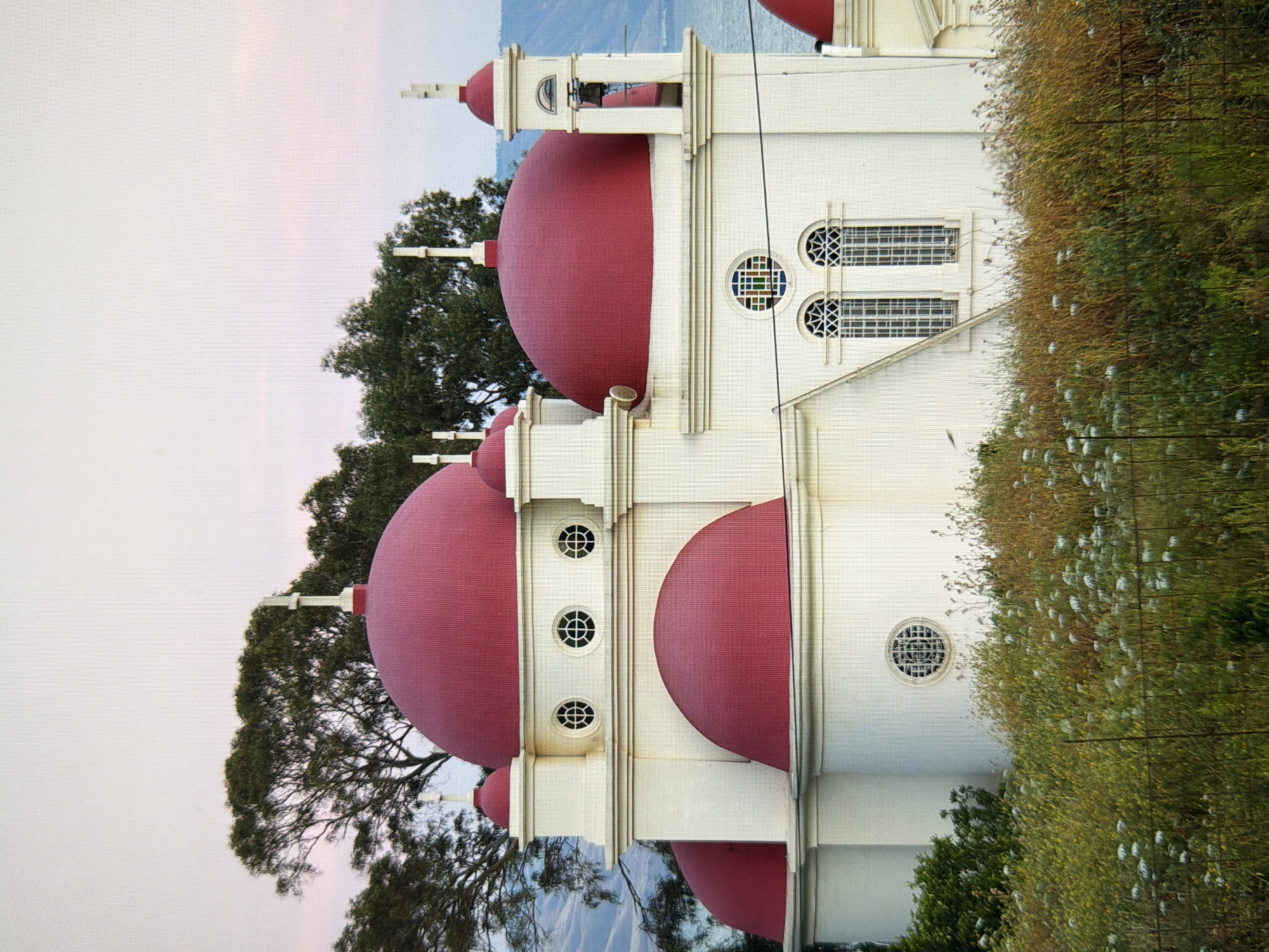 The image shows a white church with red domes, set against a backdrop of trees and a pale sky. The church has multiple domes, some larger and some smaller, topped with crosses. The architecture is reminiscent of Orthodox Christian churches. In the foreground, there is a field of tall grass and wildflowers, with a wire fence running horizontally across the bottom of the frame. The overall lighting suggests it might be early morning or late evening, with a soft, diffused light. The image does not depict the city of Kyiv, Ukraine.