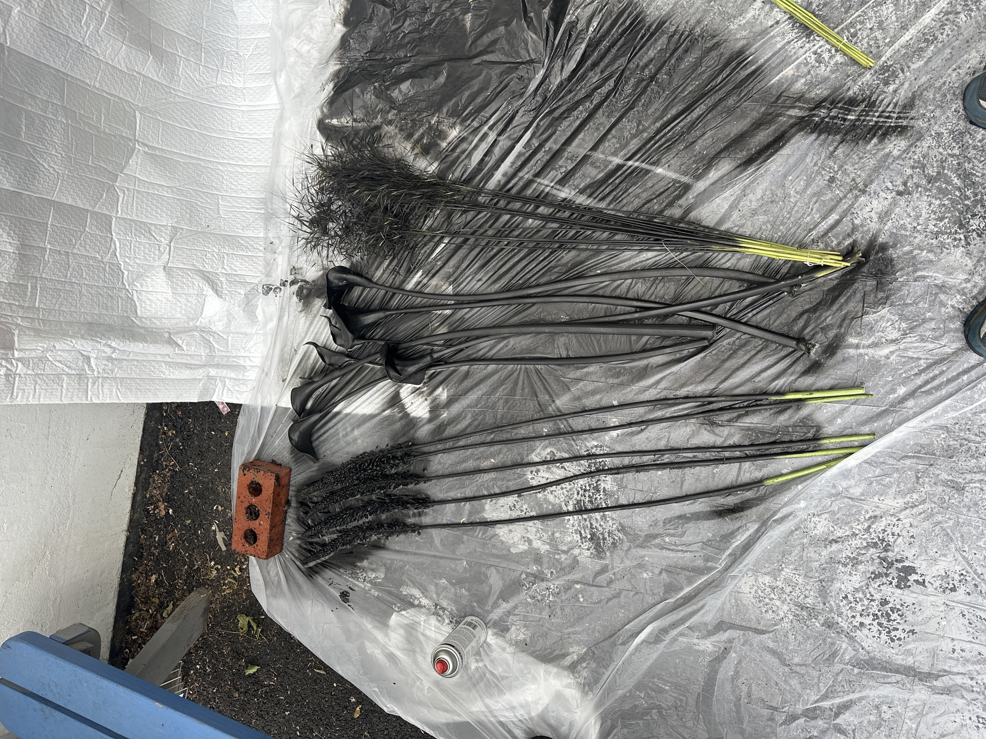 The image depicts an outdoor scene, likely in London, United Kingdom, where artificial flowers are being spray-painted black. The subjects are several black calla lilies and what appear to be ornamental grasses, laid out on a transparent plastic sheet. A can of red spray paint is visible to the left, near a brick. The ground beneath the plastic sheet is dark and appears to be asphalt or soil, with some scattered debris. In the background, a white, textured surface, possibly a wall, is partially visible, along with a portion of a blue slatted bench. The overall environment suggests a DIY or crafting activity taking place outdoors.