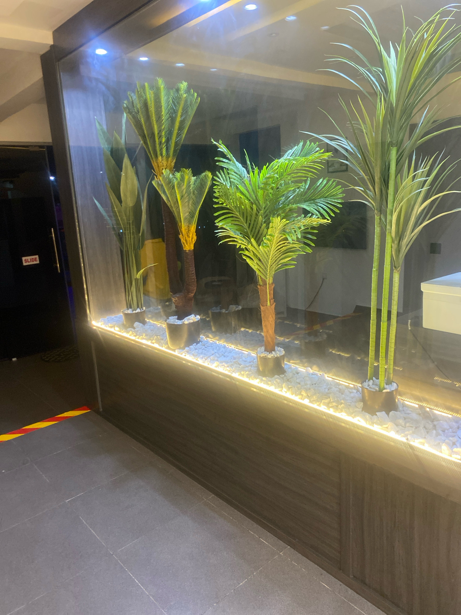 The image depicts a modern interior space featuring a large glass enclosure housing artificial plants. The enclosure is illuminated from within by white LED strip lights that run along the base, highlighting a bed of white pebbles. Inside the enclosure, there are at least three distinct types of artificial plants: two tall, slender plants with green, spiky leaves; a shorter, bushy palm-like plant with bright green fronds; and another plant with broad, sword-shaped green leaves positioned behind the others. The plants are potted in dark, cylindrical planters.
The enclosure itself is framed by dark material, likely wood or metal, and is set against a wall with a dark wood-grain finish. To the left of the enclosure, a black door is visible with a red and white "SLIDE" sign. The floor in front of the enclosure is tiled in a light gray, with a yellow and red striped caution marking on the left side. The reflections in the glass suggest an indoor environment, possibly a reception area or a decorative feature within a building. There are no people visible in the image. The scene is well-lit, emphasizing the decorative plants and the modern design elements.
The prompt specifies a location in Barden Yana, Nigeria. However, there are no visual cues in the image that directly indicate this specific geographical location. The environment appears to be an indoor commercial or public space with contemporary design elements.