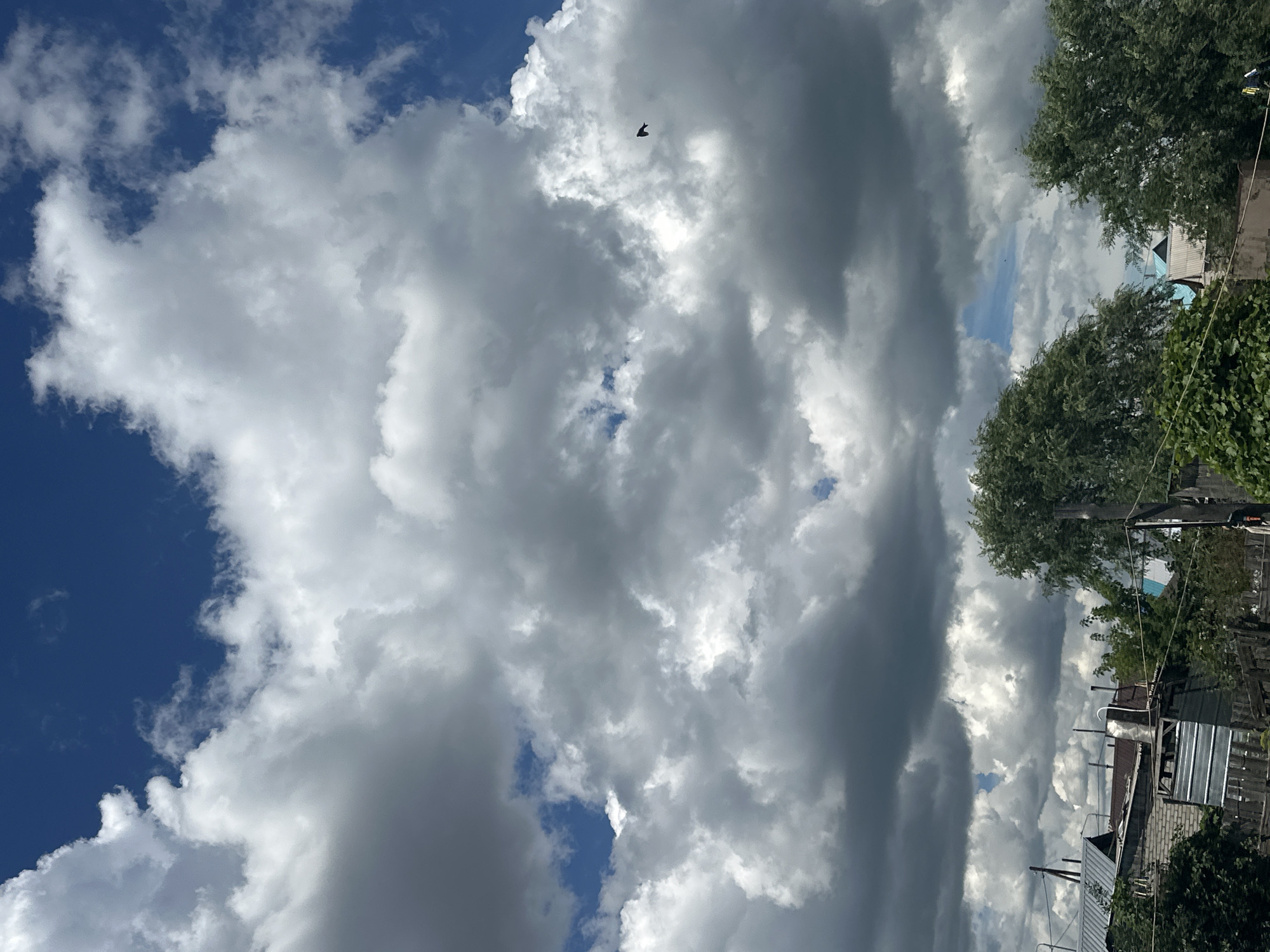 This is a vertical, eye-level, full-shot photograph of a cloudy sky with a glimpse of a village in Tobyl, Kazakhstan. The sky dominates the upper two-thirds of the frame and features a mix of bright white and dark gray cumulus clouds against a bright blue sky. The clouds appear dense and textured, with sunlight illuminating some portions and casting shadows on others. A small, dark bird is visible in flight in the upper right quadrant of the sky, silhouetted against the clouds.
The lower third of the image shows the rooftops and some greenery of a village. Several structures with corrugated metal and shingled roofs are visible, along with brick and wooden fences. Trees with lush green foliage are interspersed among the buildings. The overall impression is of a rural or semi-rural environment under a dynamic sky. The lighting suggests it might be late afternoon or early evening. There are no people or animals visible other than the distant bird.