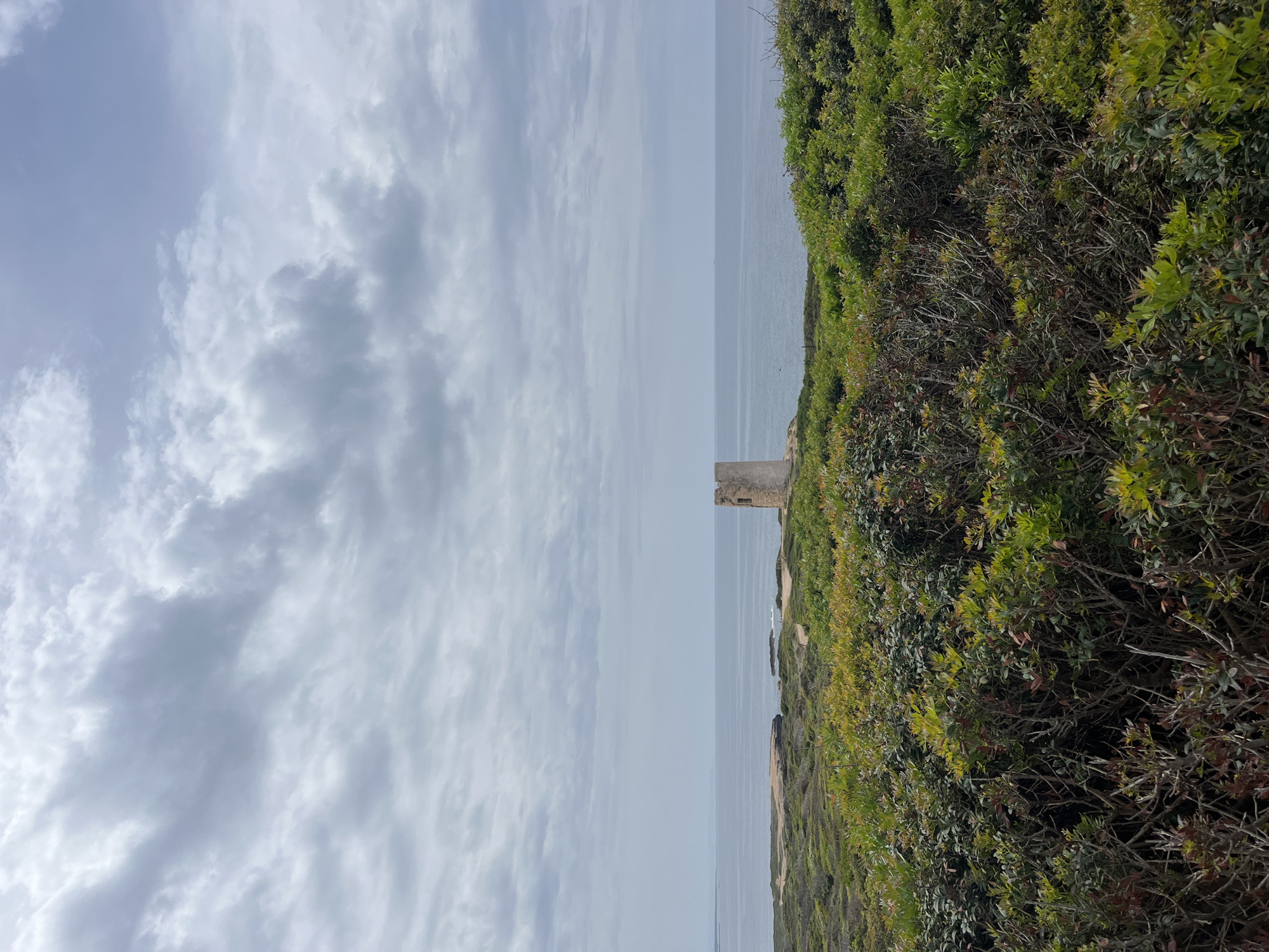 The image shows a landscape scene with a tower on the coastline. The tower, made of stone, stands prominently against the sky and the sea. The vegetation on the right side is dense and green. The sky is filled with clouds, suggesting an overcast day. The sea appears calm and extends to the horizon. The image appears to have been taken in Santeru/San Vero Milis, Italy, given the location of the tower on the coastline. There are no people visible in the scene.