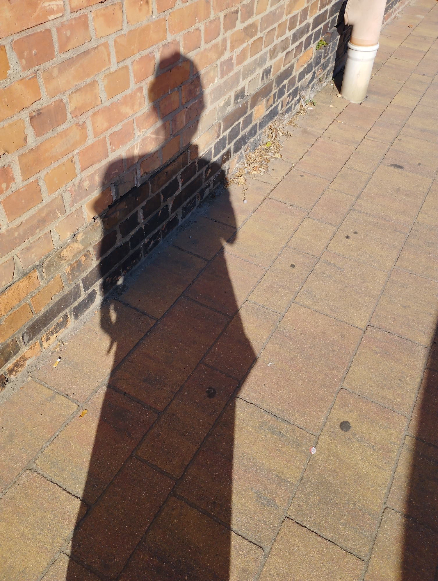 The image displays a shadow cast on a brick wall and a paved walkway. The shadow appears to be that of a person holding a camera, suggesting a self-portrait is being taken. The brick wall is constructed of orange and dark brown bricks, with visible mortar lines. The walkway is composed of rectangular paving stones in shades of tan and brown, with dark spots and a small pink object on its surface. A beige downspout is attached to the brick wall on the right side of the frame. Sparse dry vegetation is present at the base of the wall. The scene is lit by sunlight, creating a clear shadow. The location is described as Szczecin, Poland.