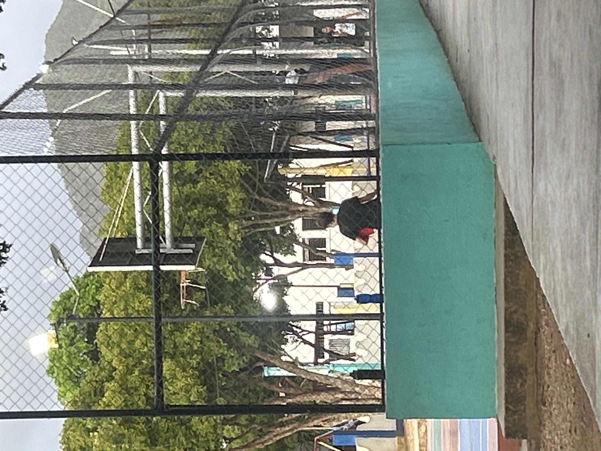 In Santa Ana, Venezuela, a person wearing a black shirt and holding a red ball sits on a turquoise wall. The scene unfolds on a basketball court, visible through a chain-link fence that surrounds the court. Behind the fence, lush green trees and buildings form the backdrop, with mountains in the distance. The court itself appears to be an outdoor recreational area, possibly part of a community center or park. The lighting suggests it is daytime, though the sky appears overcast.