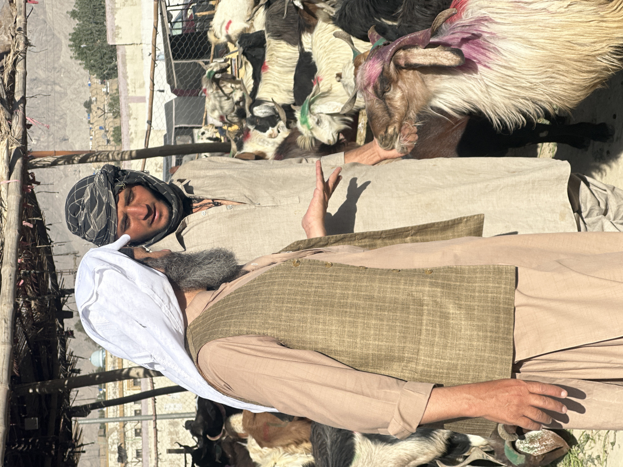Two men stand next to a pen of goats. One man wears a white head covering and a vest. The other man wears a patterned head covering. The location is Quetta City Tehsil, Pakistan.