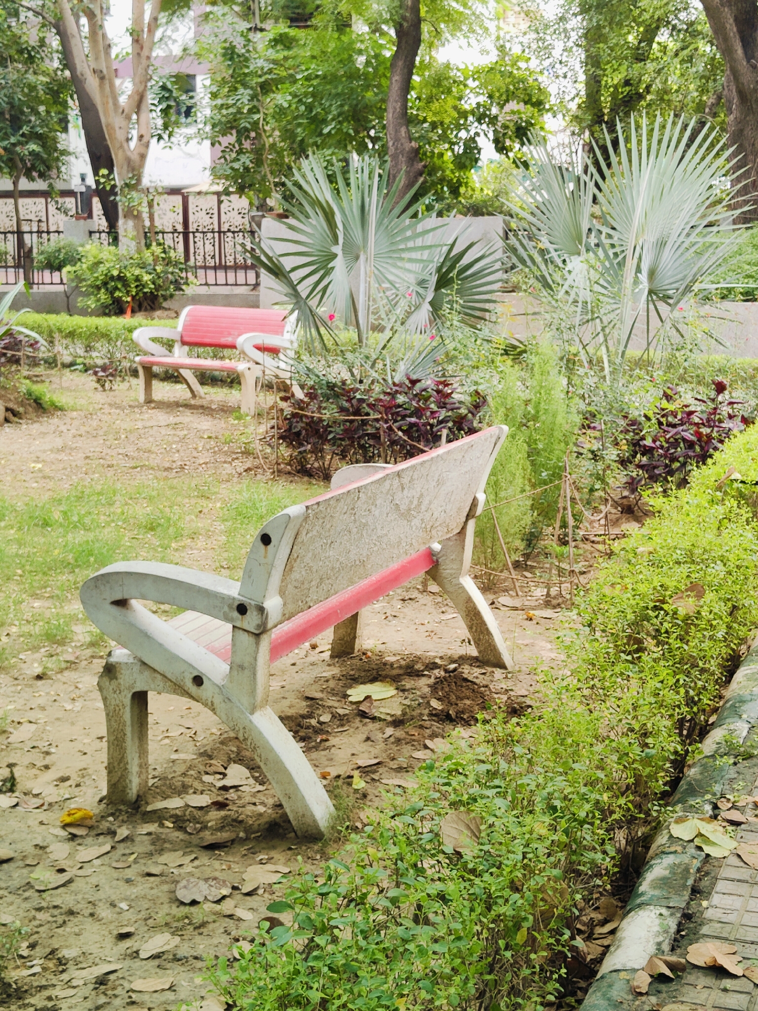 The image depicts a park in Gurgaon, India, featuring two concrete benches with red accents. The foreground bench is angled, showing its weathered texture and red seat. Behind it, another identical bench is visible, positioned further into the park. The ground is a mix of soil, sparse green grass, and scattered dry leaves. Lush green bushes and trees surround the benches, with some large palm-like plants contributing to the tropical feel. A decorative metal fence can be seen in the background, separating the park area from a building. The overall scene suggests a public outdoor space, likely a garden or park within the city.