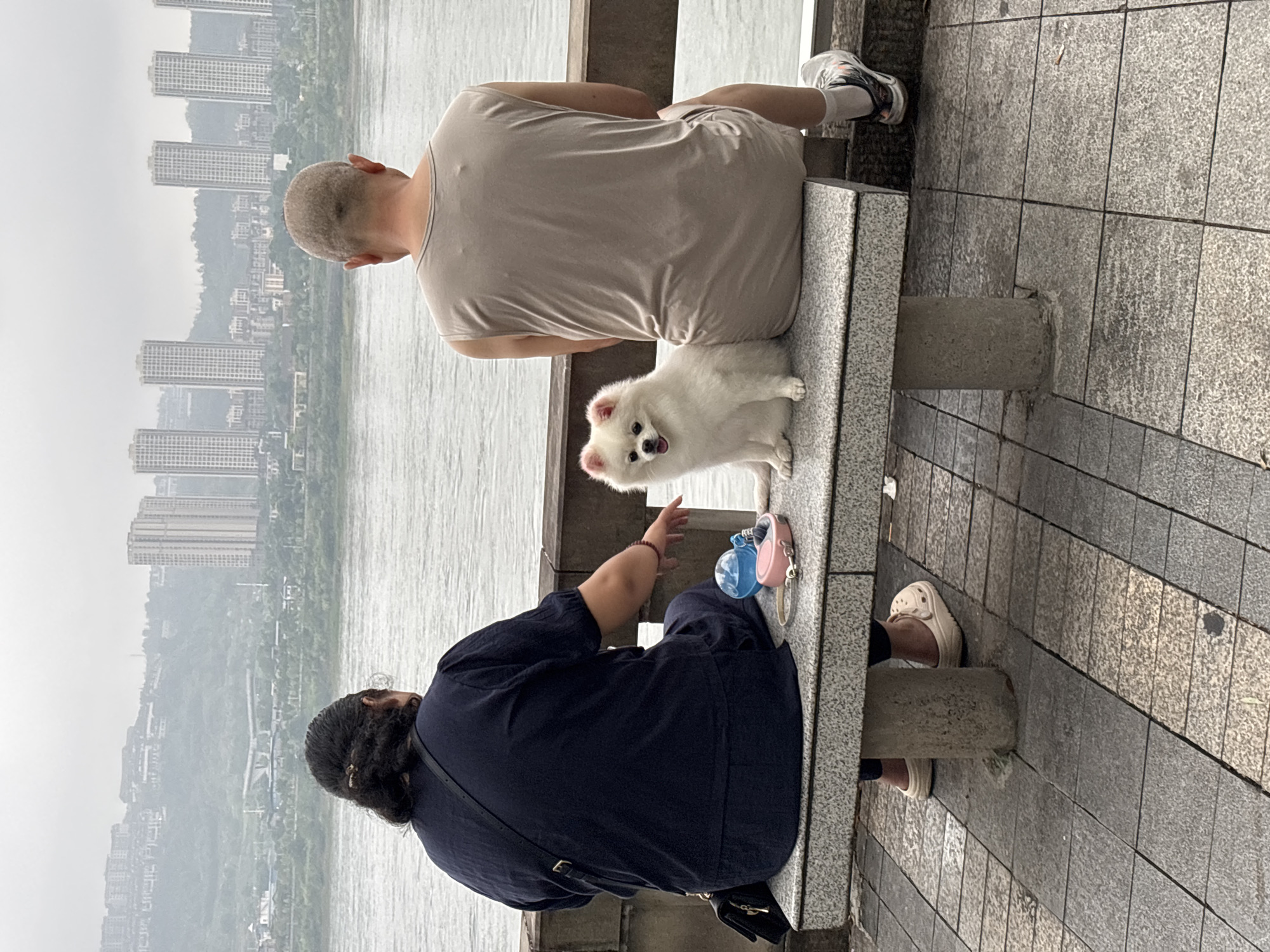 A person with dark hair and a dark blue top sits on a stone bench, facing away from the camera. To their right, a small white dog with light pink ears is seated and facing the camera, its mouth open. Next to the dog is a man wearing a light tan sleeveless shirt, also facing away from the camera. On the bench in front of the person are a pink dog leash and a blue water bottle. The bench is set on a tiled walkway next to a body of water. In the background, a city skyline with numerous tall buildings and a hazy sky is visible. This scene is located in Jiangjin District, Chongqing, China, specifically along the Yangtze River.