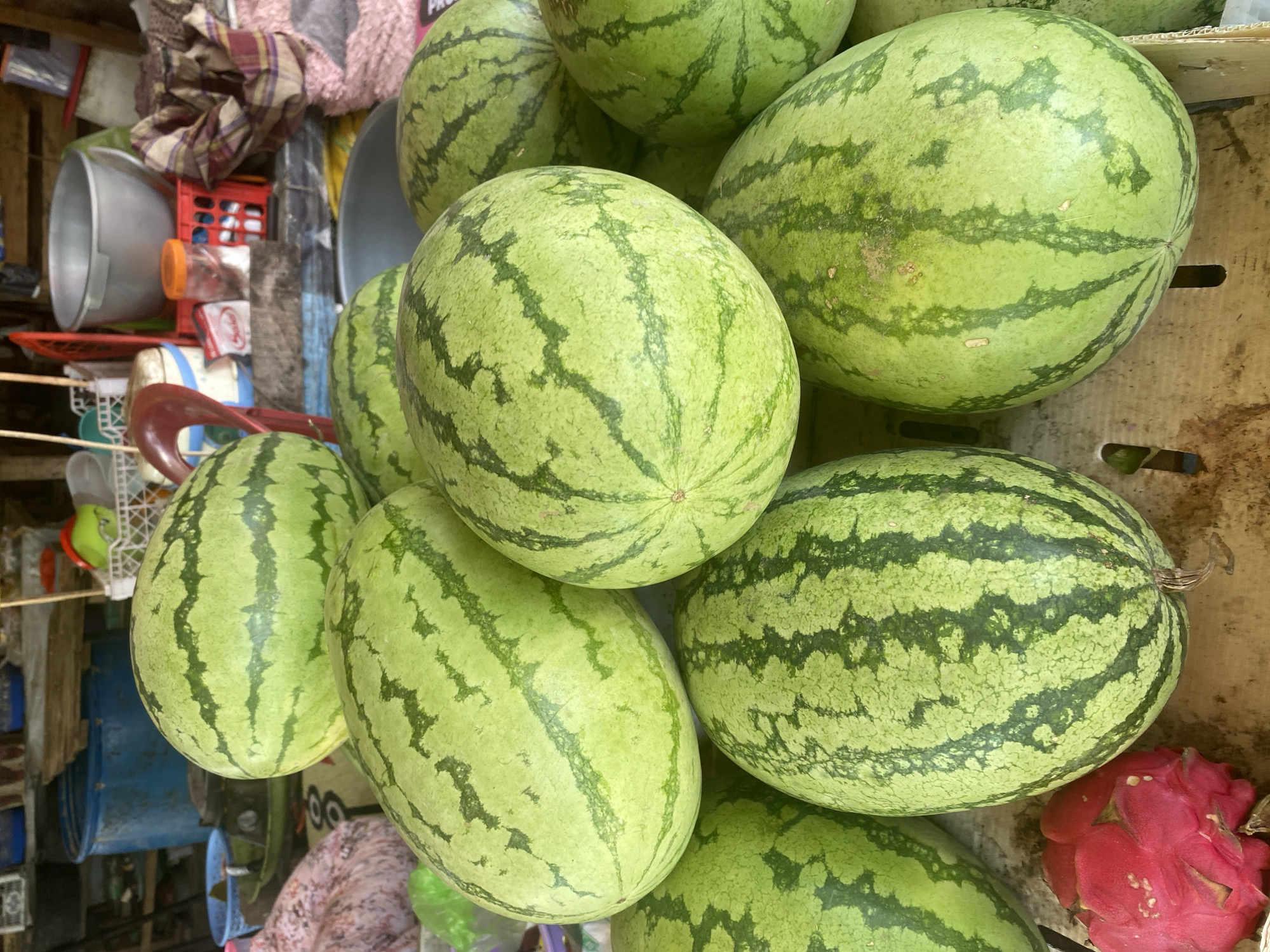 This image depicts a close-up view of a produce stall, likely located in a market in Ta', Indonesia. The foreground is dominated by a pile of watermelons, varying in size and mostly showing their characteristic green rind with darker stripes. One watermelon in the lower left is partially obscured by a bright pink dragon fruit. In the background, various items are visible, including blue barrels, plastic crates, containers, and what appears to be fabric. The overall impression is of a vibrant, busy market setting.
