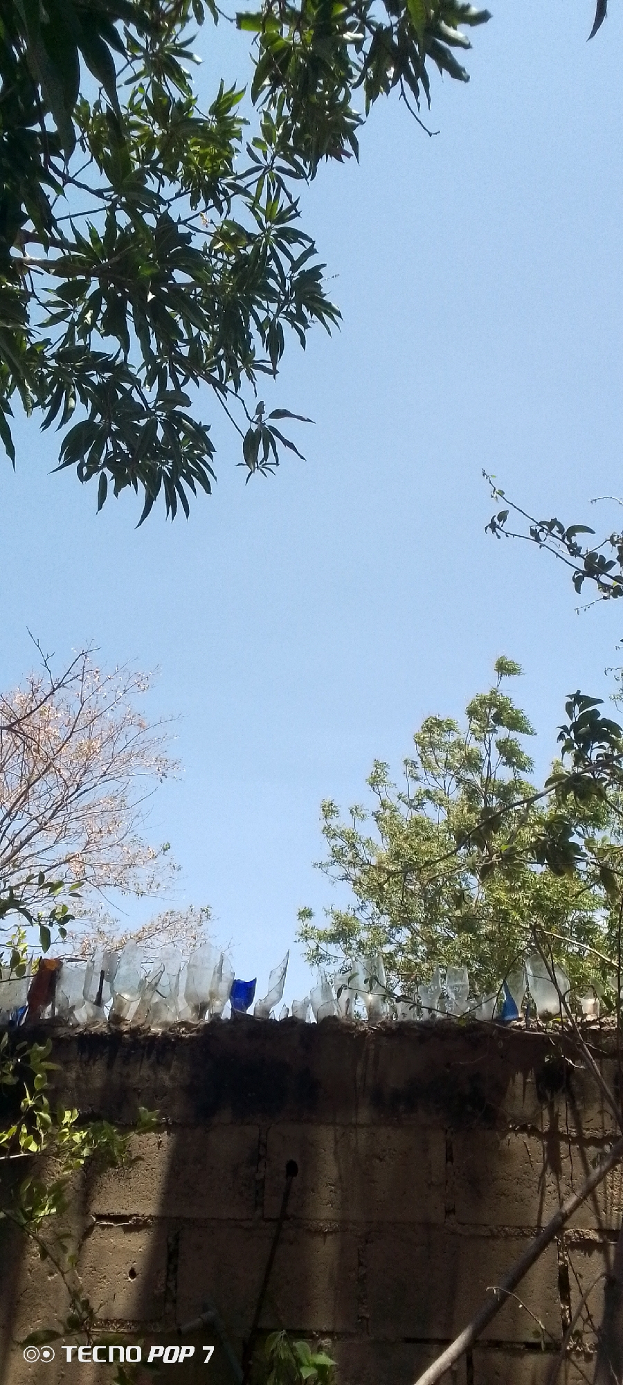 The image, taken with a Tecno Pop 7, shows a concrete block wall topped with broken glass bottles, likely as a security measure. The wall is aged and has a dark stain. Above the wall, the sky is visible, partially obscured by tree branches and leaves. The location is likely in Altagracia, Venezuela, though there are no specific identifiers. There are no people visible in the image.
