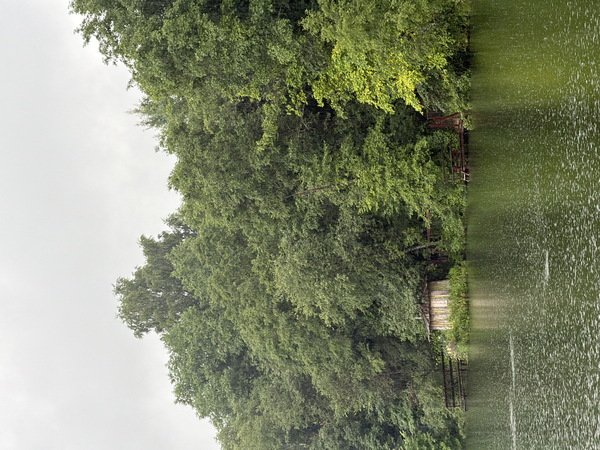 The image shows a tranquil lakeside scene on a cloudy, rainy day. Dense green foliage lines the shore, forming a thick forest. In the foreground, the lake's surface is rippled by raindrops, creating a speckled pattern. On the left side of the image, a wooden dock extends into the water. Closer to the center, a small, weathered wooden structure with a sloped roof sits on the bank, surrounded by lush vegetation. Further to the right, another rustic wooden platform is visible, also extending into the lake. The overall atmosphere is serene and natural, suggesting a secluded, possibly rural location. The weather is overcast, with rain actively falling, evidenced by the numerous water droplets on the lake and the misty appearance of the trees. There are no people or animals visible in the frame. The location is not Darna, Russia; this is a generic rural landscape.