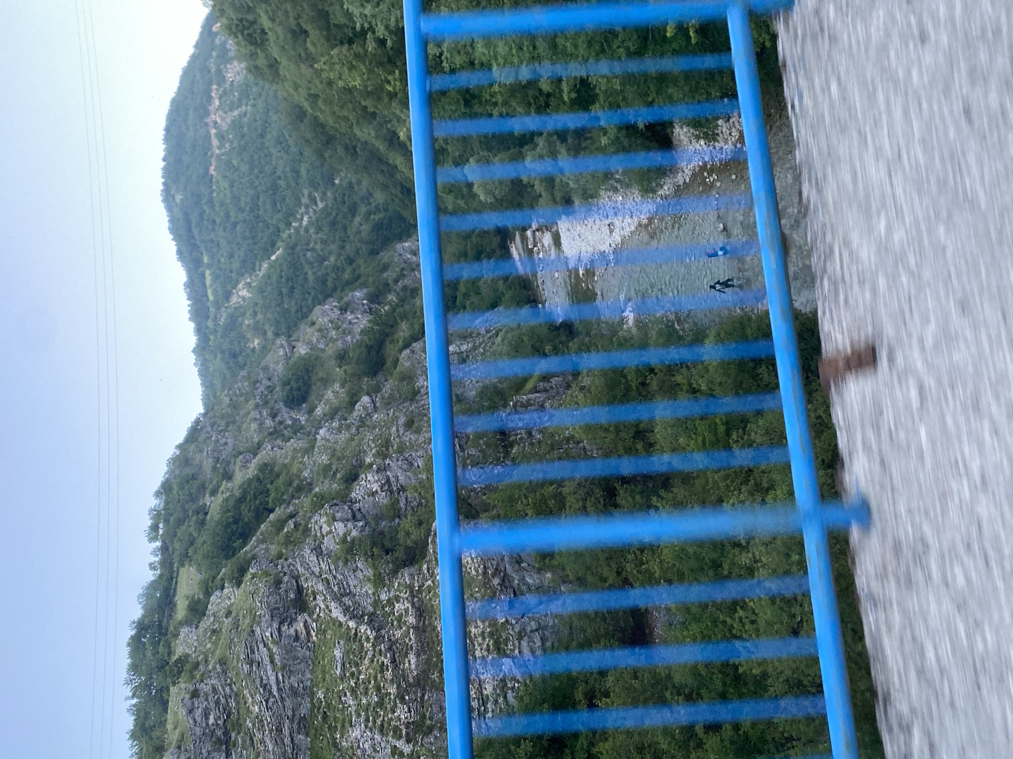 The image is taken from a bridge overlooking a valley with a river. In the foreground, a bright blue metal railing is visible, with a concrete walkway behind it. The railing is blurred due to motion. Beyond the railing, the valley slopes upward, covered in lush green trees. A rocky, steep mountainside is on the left, with sparse vegetation. A clear river flows through the valley floor, with a gravelly bed. Two people are in the river, one standing and one appearing to be kneeling or crouching. The sky is a pale blue, with faint horizontal lines that could be power lines. The scene depicts a natural landscape with human presence, likely in or near the town of Šavnik, Montenegro, given its mountainous terrain and rivers.