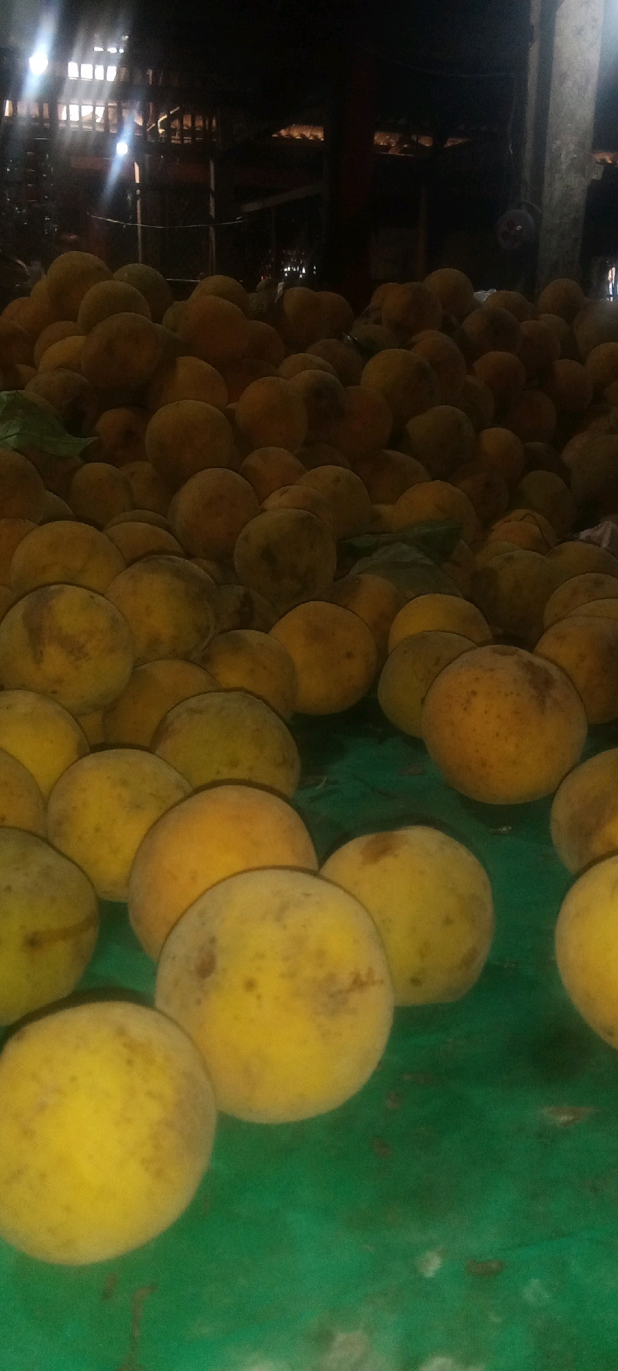 A low-angle, vertically oriented, full shot shows a large pile of yellow-orange santol fruits on a green tarp. The fruits vary in size and are mostly spherical, with some showing slight imperfections or blemishes. The lighting is dim, with light sources visible in the upper left corner of the image, suggesting an indoor setting such as a market or warehouse. The background is dark and indistinct, with hints of wooden structures and possibly some equipment. The image appears to be taken in Karawang, Indonesia, likely at a local market where these fruits are being sold.