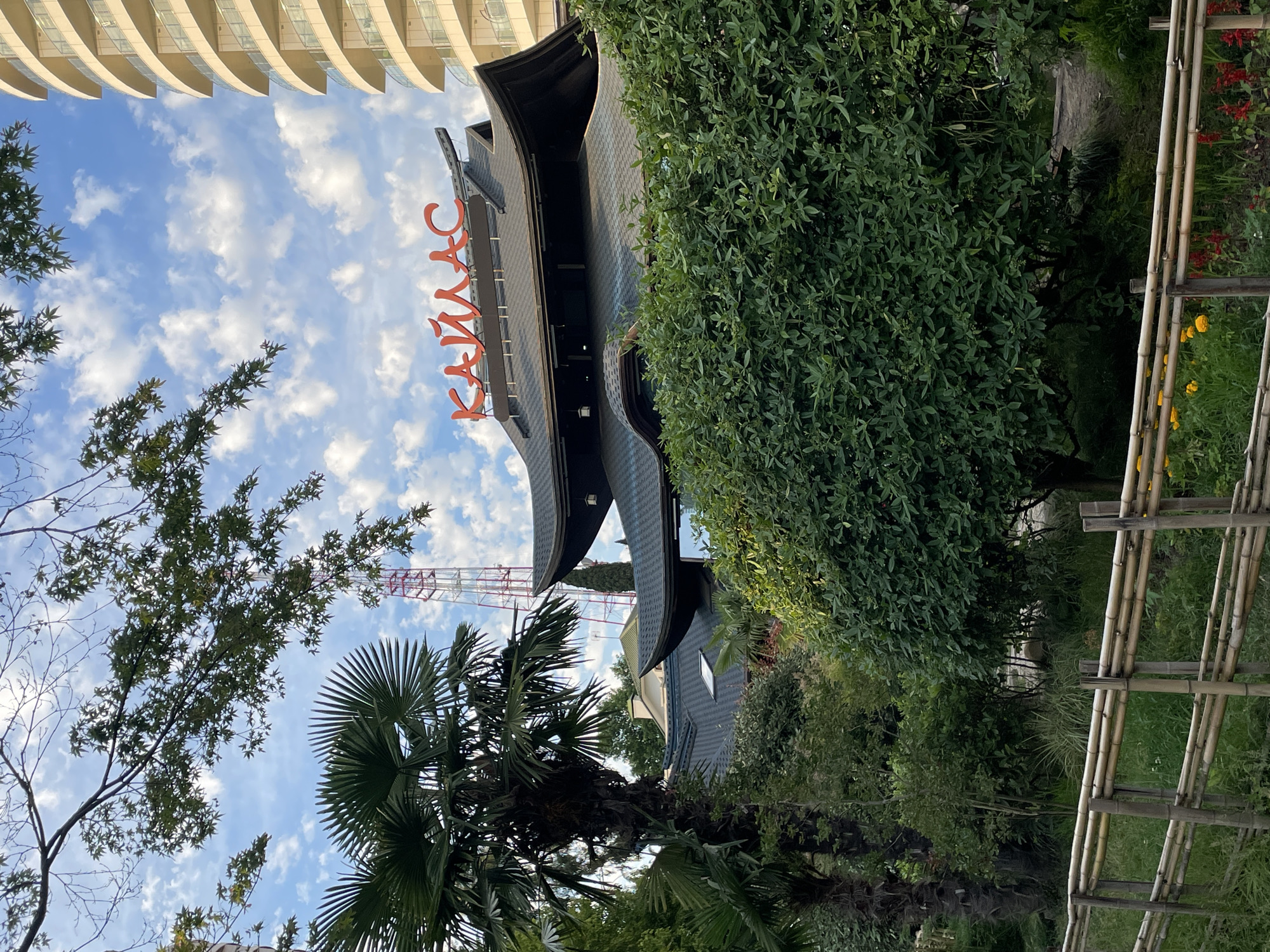 The image depicts a bright, cloudy day in Sochi, Russia. The foreground is dominated by lush green foliage, including palm trees and dense bushes, with a bamboo fence on the right side of the frame. Behind the greenery, a building with a dark, curved roof is visible, featuring a prominent red sign with Cyrillic lettering that reads "КАЙЛАС" (KAYLAS). The architectural style of the building suggests it might be a restaurant or a similar establishment. In the background, a tall telecommunications tower pierces the sky, and a portion of a modern, light-colored building with curved balconies is seen at the top left. The sky is a vibrant blue, dotted with fluffy white clouds, indicating pleasant weather. The overall impression is of a tropical or subtropical urban environment, possibly a resort area. No people are visible in the frame, and the scene appears to be a static view of the location rather than capturing an ongoing event.