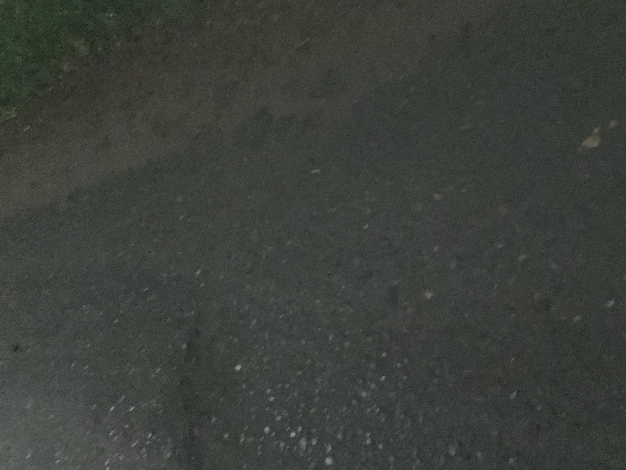 The image displays a ground-level perspective of a dark, granular surface, consistent with asphalt or a paved path, located in the city of Chaikovsky, Russia. Scattered across this dark surface are numerous small, irregular white and light grey particles, indicative of fallen snow, sleet, or fine granular debris. In the upper right portion of the frame, a segment of green vegetation, consistent with grass, is visible, bordering the dark ground. The scene is illuminated by dim, ambient light. No individuals, animals, vehicles, or explicit human activity are present.