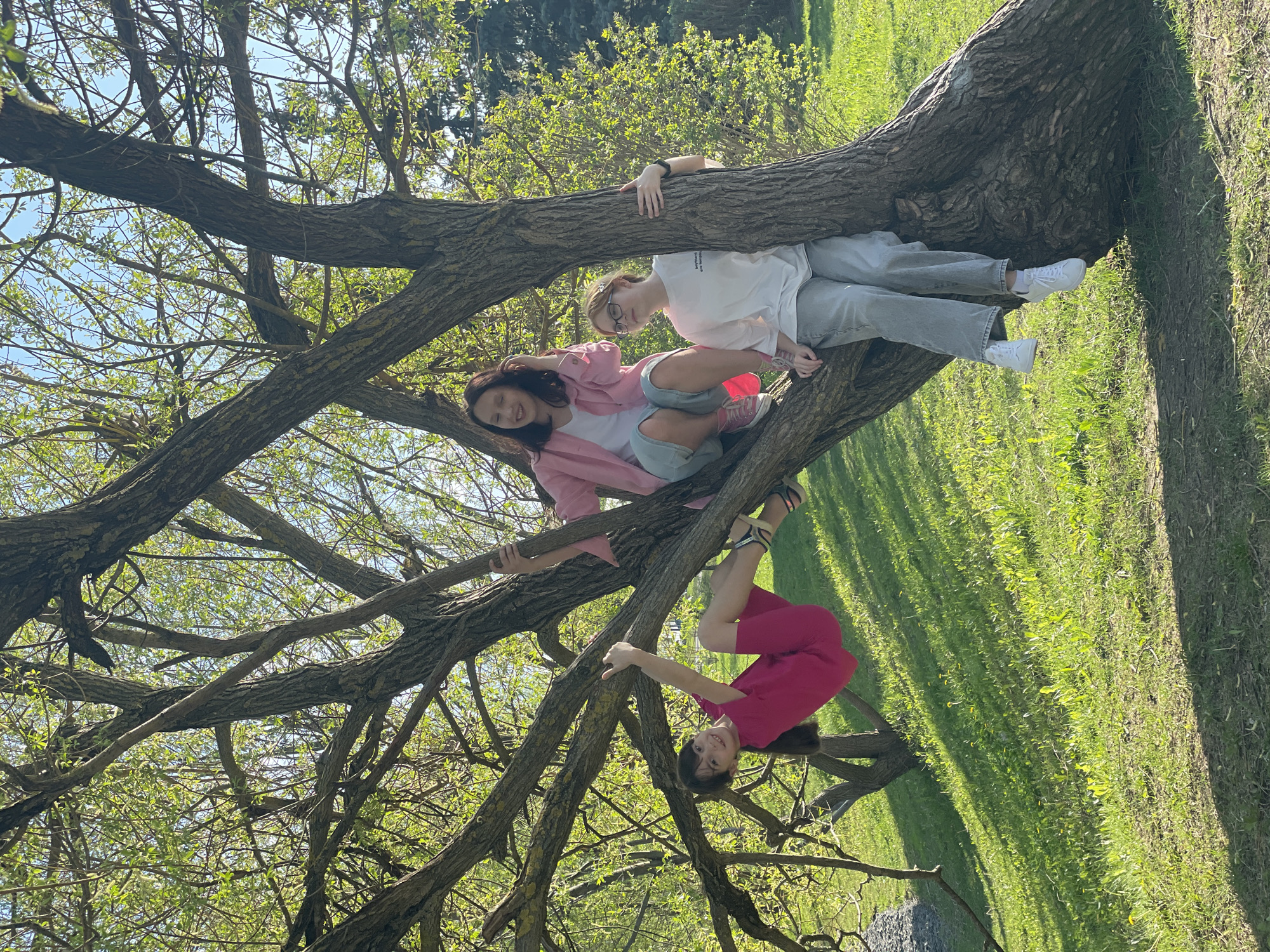 Three girls are in a tree in an outdoor park setting. One girl is hanging upside down from a branch, wearing a magenta top and shorts. Another girl is seated on a branch, wearing a pink jacket, white top, and light blue shorts. The third girl is sitting on a branch, wearing a white top and gray pants. The tree is in a grassy area with other trees in the background. The scene appears to be taken in daylight. There is no indication in the image that this is in Moscow, Russia.