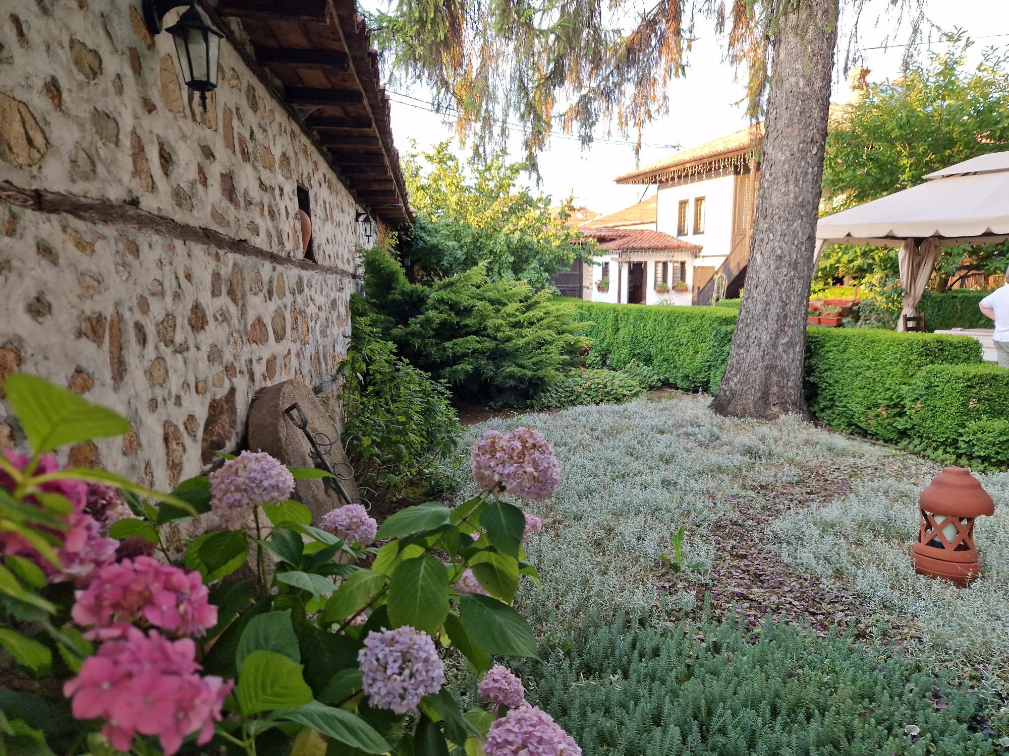 This image depicts a charming courtyard in the city of Panagyurishte, Bulgaria. The scene features a rustic stone building with a wooden-tiled roof, adorned with two black lanterns. In the foreground, vibrant pink and purple hydrangeas bloom, adding a splash of color to the natural stone wall. Beyond the building, a well-manicured garden unfolds, characterized by lush green hedges and a pathway lined with low-lying grey and green foliage. A large tree stands prominently in the middle ground, casting a gentle shadow. In the background, two white buildings with traditional tiled roofs are visible, suggesting a residential or guesthouse setting. An outdoor gazebo with a cream-colored canopy is also present, providing a shaded seating area. A terracotta lantern sits on the ground near the gazebo. A person, wearing a white t-shirt and light-colored shorts, is partially visible on the right side of the image, standing near the gazebo. The overall atmosphere is serene and inviting, indicative of a peaceful summer day in Bulgaria.