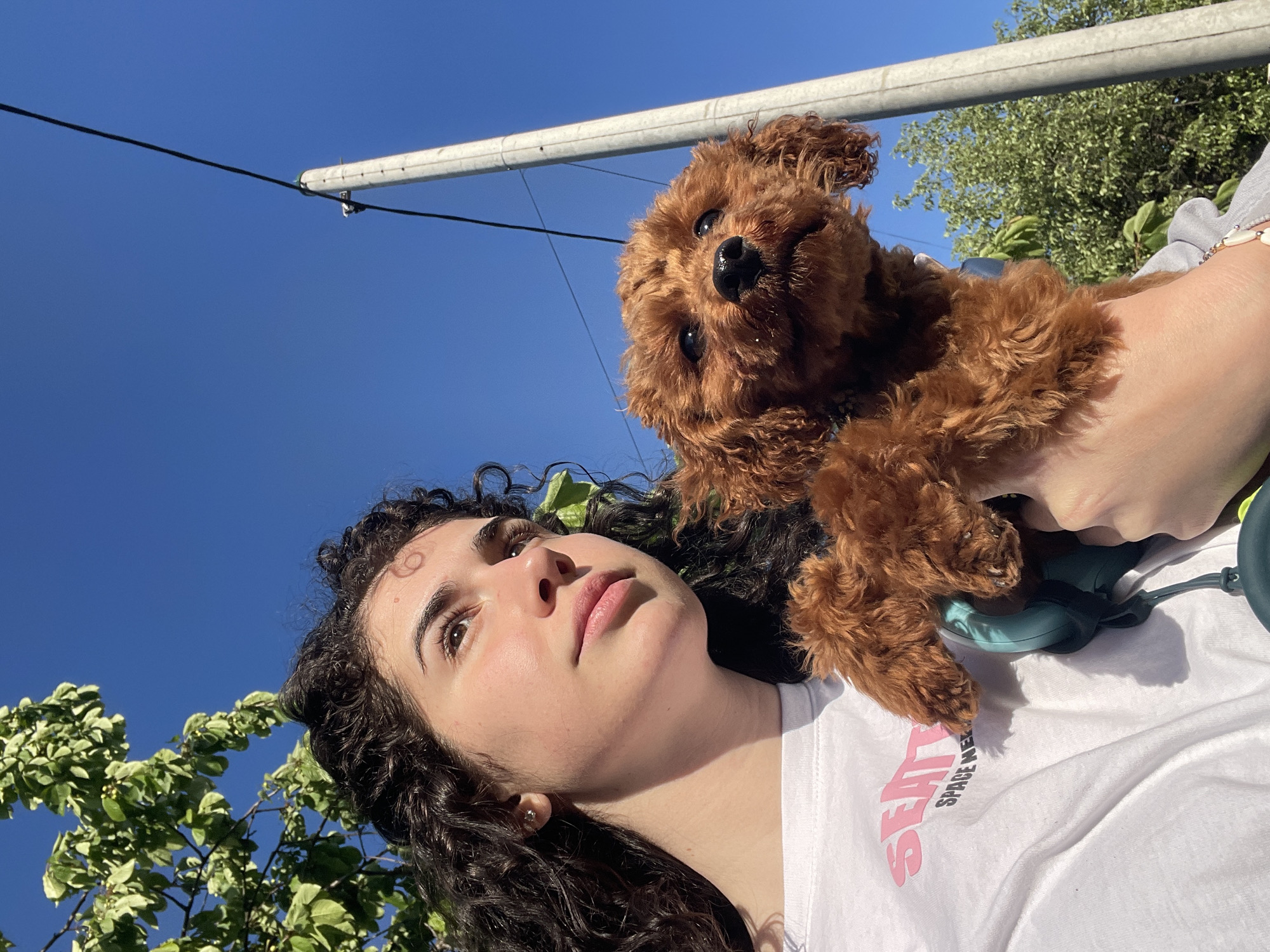 A woman is holding a small brown poodle. The sky is blue, with some trees and utility poles visible in the background. The woman is wearing a white t-shirt. The location could be Sofia, Bulgaria.