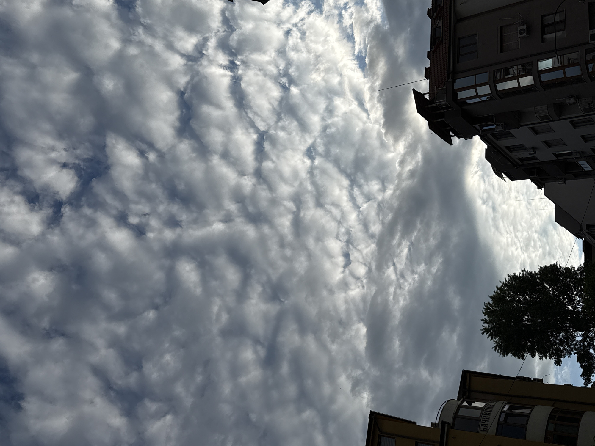The image depicts a low-angle view of the sky with altocumulus clouds above the city of Pleven, Bulgaria. The sky is mostly overcast with patches of blue visible between the clouds. Portions of buildings and a tree are visible along the edges of the frame. The buildings appear to be multi-story structures. The image orientation suggests it was taken from a ground-level perspective looking upward.