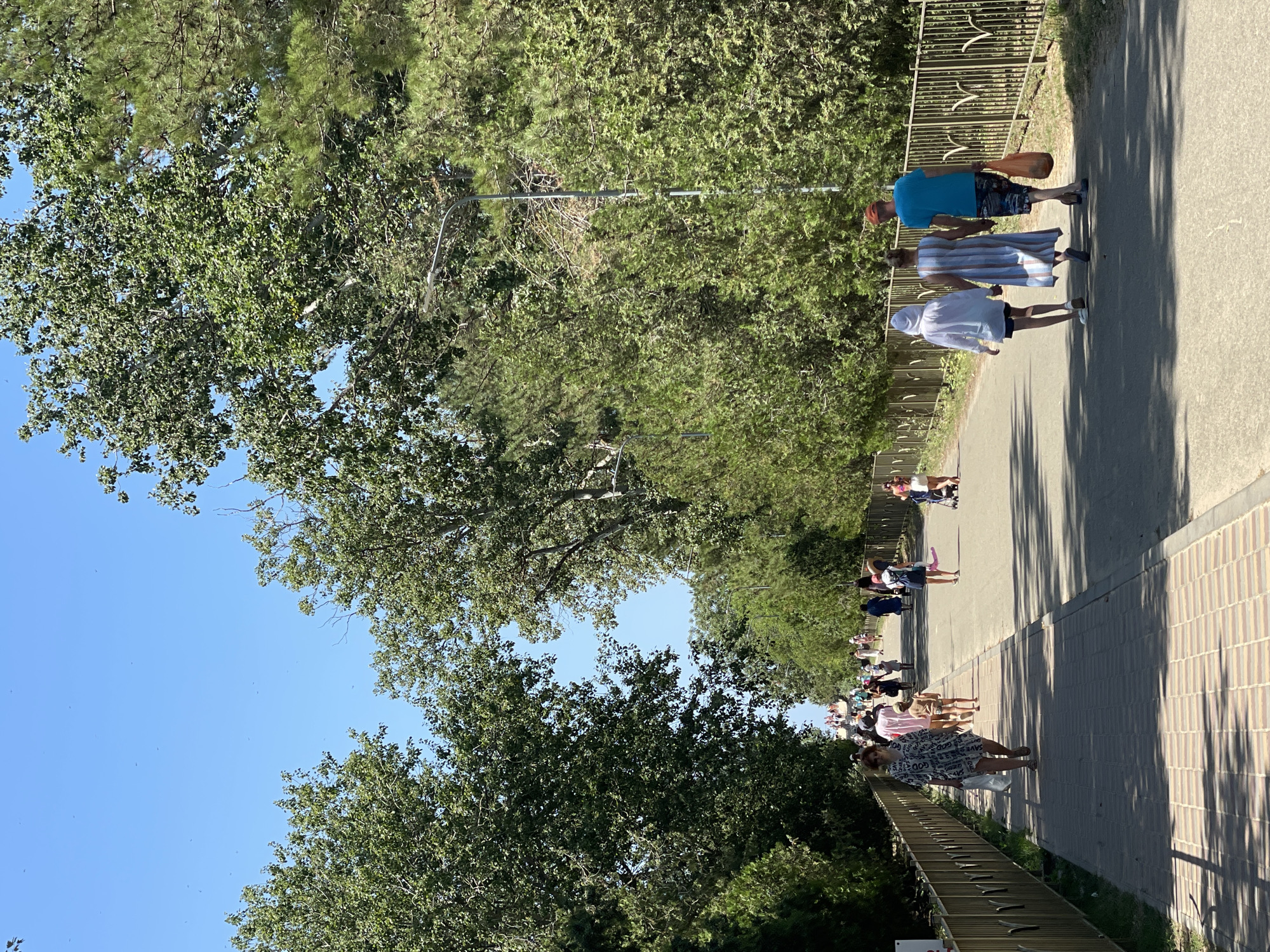 This image captures a sunny day on a pedestrian walkway in Vityazevo, Russia, lined with lush green trees and a golden fence. A diverse group of people are strolling along the path, some walking individually, others in pairs or small groups, with a child being pushed in a stroller. The walkway is paved with brick on the left and asphalt on the right. In the distance, the walkway appears to lead towards a beach or park area, indicated by more people and structures. The clear blue sky suggests warm weather, and the trees provide ample shade. A streetlamp is visible on the right side of the walkway.
