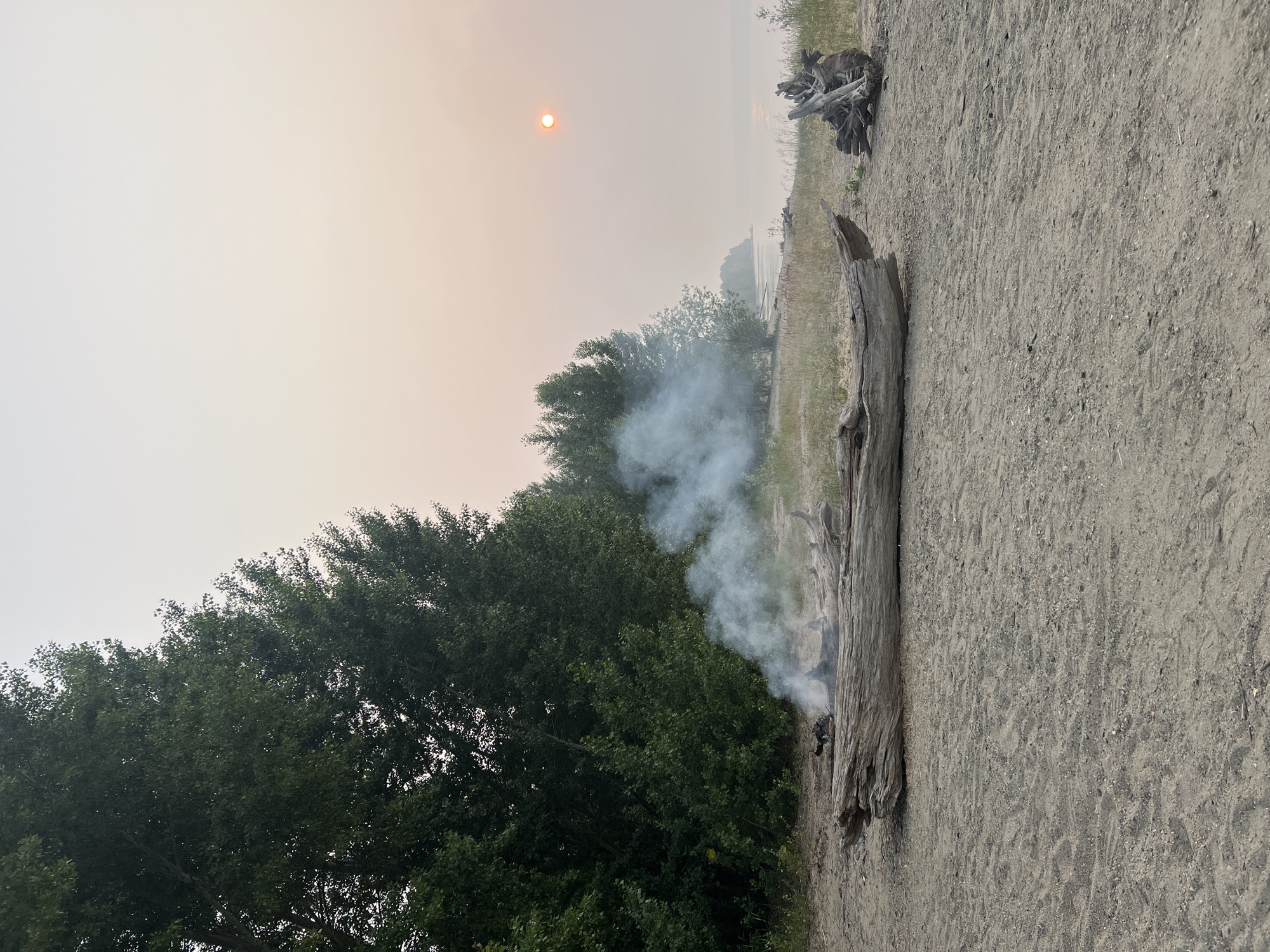 The image depicts a serene beach scene with a small campfire actively burning, emitting white smoke. In the foreground, a large, weathered log lies horizontally on the sandy shore, serving as a makeshift hearth for the fire. To the right, a pile of driftwood adds to the natural ambiance. In the background, a dense line of green trees frames the left side of the image, suggesting a forested area adjacent to the beach. The sky is hazy with a soft, diffused light, and a distant sun, appearing as a small orange orb, is visible through the atmospheric conditions, possibly indicative of smoke or dust. The calm body of water, likely a lake or sea, stretches towards the horizon, reflecting the muted sky. The scene is devoid of any human presence, and there are no visible structures or urban elements, indicating a natural, unpopulated environment. The overall impression is one of tranquility and solitude.