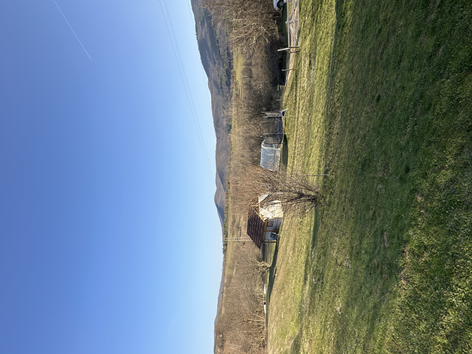 The image presents a rural landscape in Mrachenik, Bulgaria, under a clear, bright blue sky containing a faint white contrail in the upper right. The foreground consists of a gently sloping, verdant grassy field, marked by elongated shadows indicative of low-angle sunlight. In the midground, from left to right, are: a small, white-sided structure with a reddish-brown tiled gable roof and a small porch-like extension; a bare deciduous tree situated directly in front of the structure; a translucent white, tunnel-shaped greenhouse; and a circular black trampoline with blue padding and a surrounding safety net. Further to the right, a dirt path is visible leading towards the background, partially obscured by a wooden fence structure and sparse trees, behind which the front portion of a white vehicle is discernible. The background is dominated by a series of undulating hills and mountains, primarily covered with bare deciduous trees and some patches of evergreens. Two horizontal power lines traverse the upper midground. No individuals are present, and no actions or interactions are depicted within the scene.