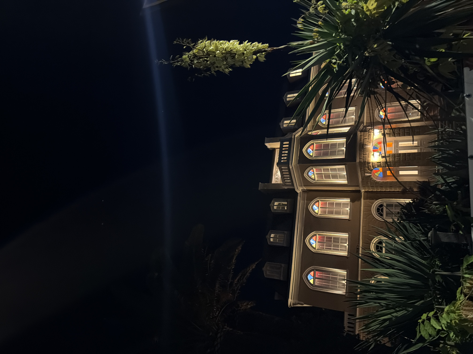 The image presents a nighttime scene of a multi-story building in Bar, Montenegro, partially framed by lush foliage. The building occupies the right side of the frame, showcasing a facade of light-colored material with numerous windows arranged in vertical rows. Many of these windows are arched at the top and feature vibrant, colorful panes, suggesting stained glass or decorative lighting, which glow warmly against the dark exterior. Other windows are illuminated from within, casting a soft light.
Dark, spiky, palm-like plants are visible in the foreground on the right and bottom, their silhouettes contrasting with the building's illuminated features. Extending into the dark sky from the upper right, a distinct plant with elongated clusters of light-colored, possibly white or pale yellow, flowers or buds is prominently featured. The sky to the left is deep black, indicative of night, with a faint, vertical streak of light visible, possibly a lens flare or atmospheric phenomenon. The overall atmosphere is quiet and serene. No people or visible text are present in the image.