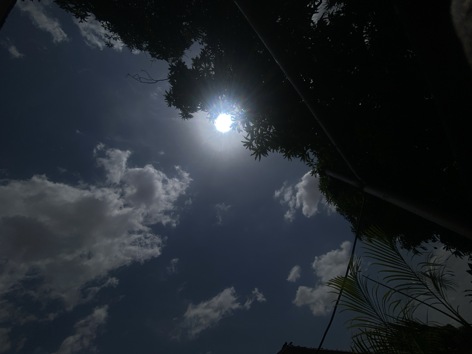 The image presents an upward view of a bright, sunny sky seen from beneath a canopy of dense, dark foliage. The scene is an outdoor setting, consistent with Barden Yana, Nigeria.
The central subject is the intensely bright sun, positioned in the upper middle of the frame, creating a pronounced sunburst effect as its rays pierce through the leaves. The sun's high placement indicates it is likely midday or early afternoon. The sky is a clear, deep blue, dotted with scattered white and light grey cumulus clouds. Some clouds are small and dispersed, while others appear larger and more substantial.
The upper perimeter and right side of the image are filled with the dark silhouettes of numerous leaves and branches, belonging to one or more trees, possibly mango trees given their appearance. In the bottom right corner, the distinct fronds of another plant, resembling a palm, are also visible in silhouette. A dark, vertical pole or beam runs along the right edge of the frame, extending from top to bottom. The overall impression is that of a warm, sunny day under a tropical or subtropical tree canopy. There is no visible activity, event, or text in the image.
