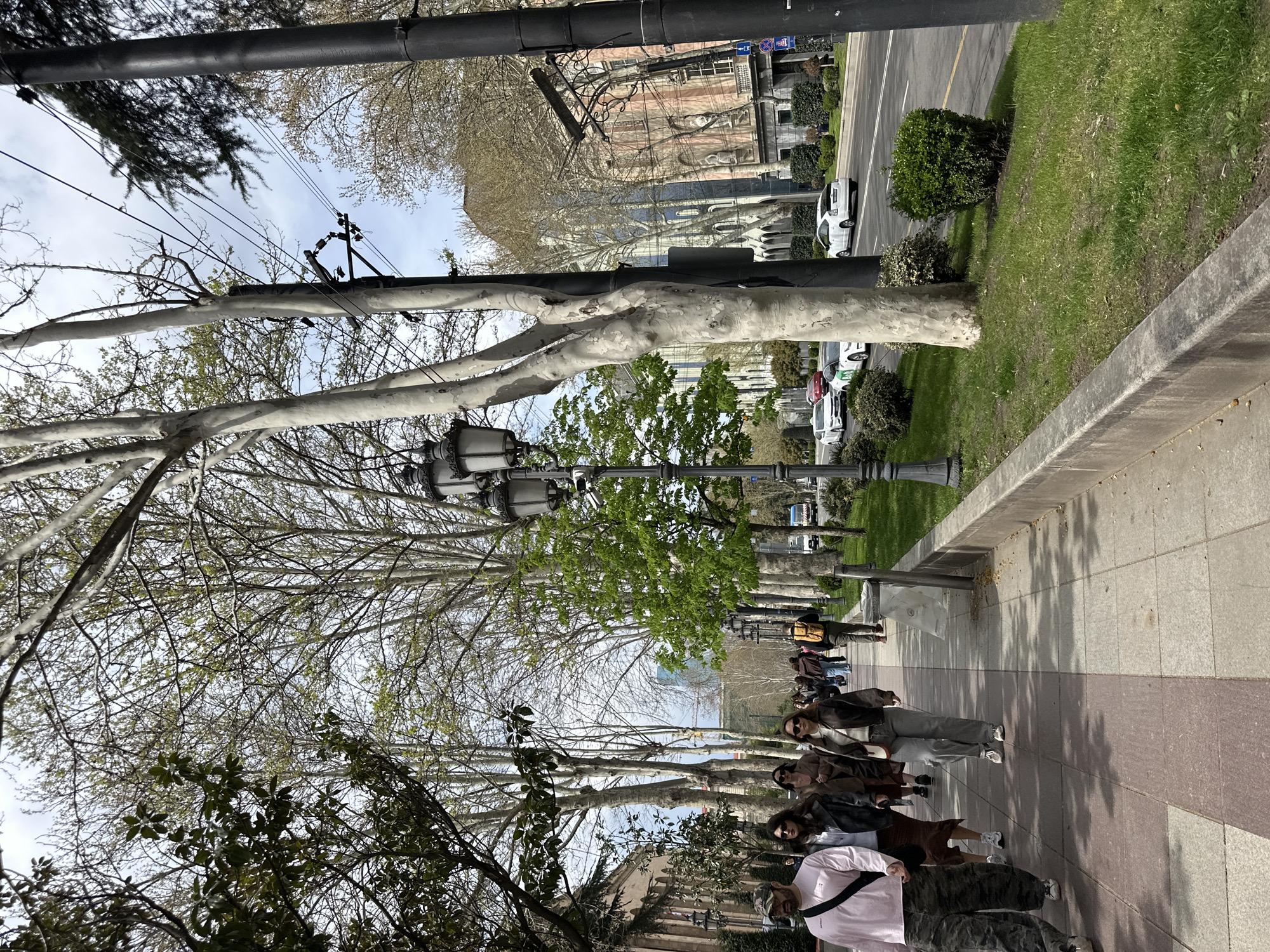 A sideways daytime shot shows a crowded sidewalk in Tbilisi, Georgia. Pedestrians stroll along the sidewalk. On the other side of the walkway, tall, leafless trees line the street, extending from left to right, with their branches and limbs dominating the view. Streetlights are positioned along the walkway among the trees. The background features a street with cars. Grass patches and landscaping flank the street. Buildings are seen further in the background. The sky is visible in between the treetops.