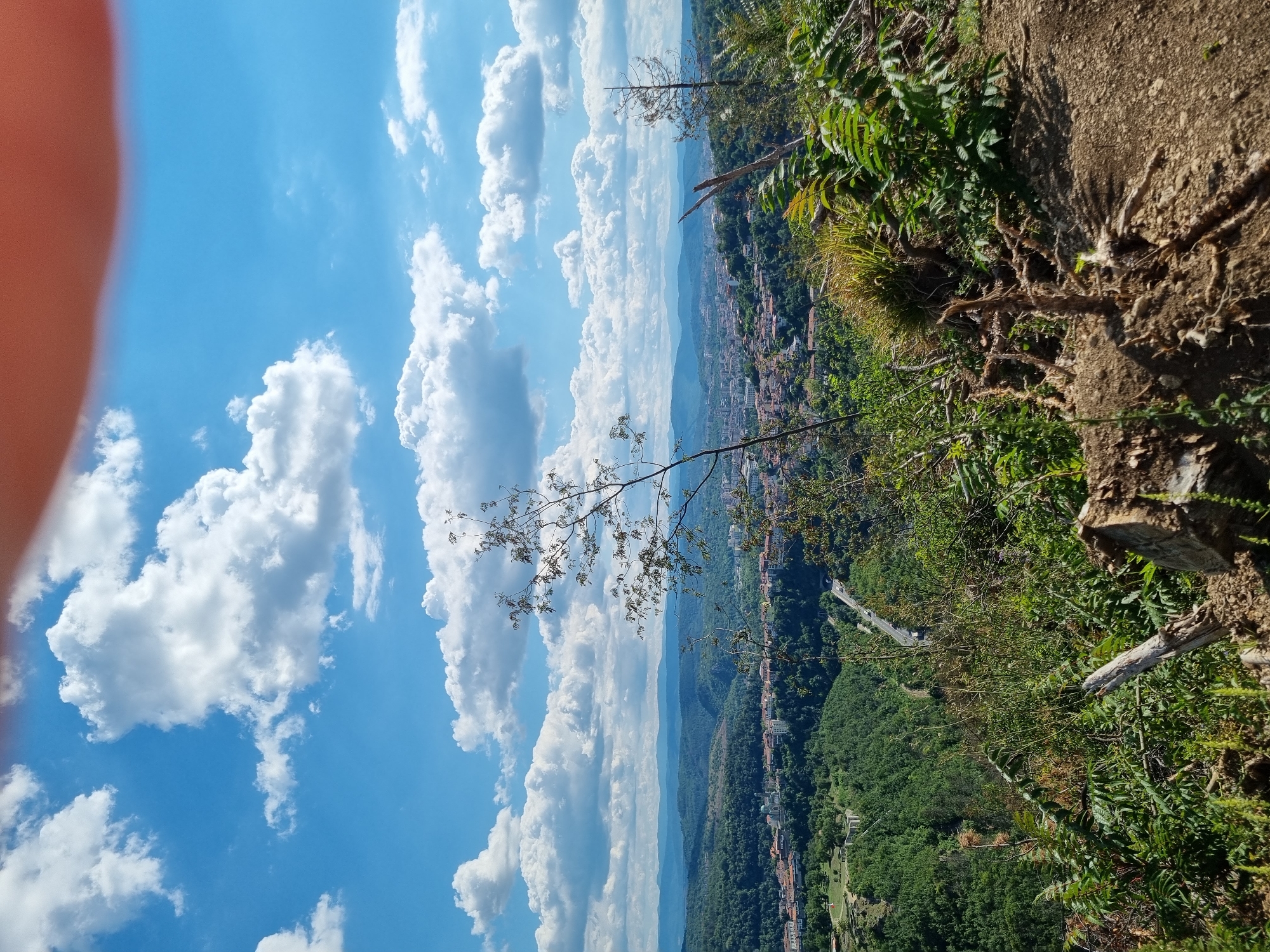 The image captures a scenic vista of Veliko Tarnovo, Bulgaria, from a vantage point on a hillside. The sky is a vibrant blue, dotted with fluffy white cumulus clouds. In the foreground, dry, weathered tree roots and sparse vegetation cover the uneven, rocky ground.
Below, the city of Veliko Tarnovo unfolds across rolling green hills. Buildings with red-tiled roofs are clustered together, interspersed with patches of trees. A winding road with a few vehicles is visible, cutting through the lush landscape. In the distance, layers of blue-hued mountains recede into the horizon. The overall impression is a panoramic view of a historic city nestled within a verdant natural setting, under a bright, cloud-filled sky.