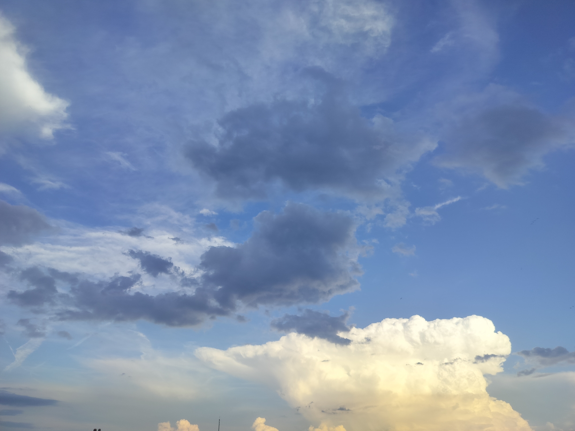 This image captures a dynamic sky over Gorno Sahrane, Bulgaria, featuring a variety of cloud formations. The dominant feature is a large, brightly lit, white cumulus or cumulonimbus cloud situated in the lower right, exhibiting significant vertical development and a golden-yellow hue, suggesting either late afternoon or early evening light.
Above and to the left, the sky is interspersed with darker, greyish clouds, likely stratocumulus or altocumulus, which appear more fragmented and spread out. The upper and mid-sections of the sky display stretches of clear blue, along with fainter, wispy cloud formations and faint contrails, one of which forms a distinct "X" shape in the mid-left.
Tiny dark specks, possibly distant birds, are visible in various parts of the blue sky, particularly on the right side. The sky's color graduates from a lighter, somewhat hazy blue near the bottom to a deeper blue towards the top. The very bottom edge of the frame offers an indistinct view of what might be distant land or structures, but they are not clearly discernible. The scene is purely atmospheric, showcasing the natural beauty and varied conditions of the sky. No specific activities or visible text are present.