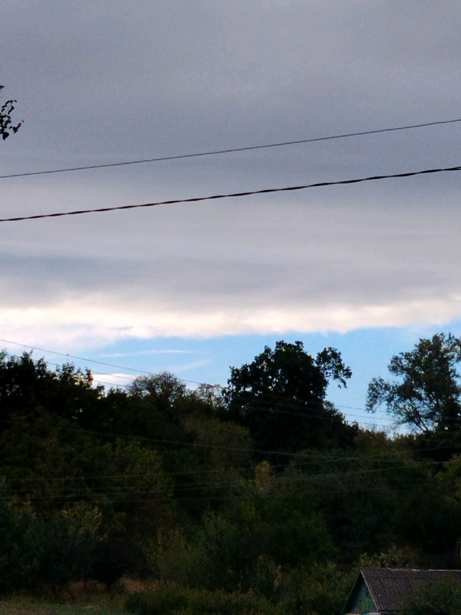 The image depicts a rural landscape with a cloudy sky and a dense line of trees in the foreground. A thin power line stretches across the upper portion of the frame. At the bottom right, a small portion of a roof of a building is visible, suggesting the presence of a dwelling. The scene appears to be located in Ustyvytsia, Ukraine. There are no people or animals visible in the image. The overall mood is subdued, likely due to the overcast sky.