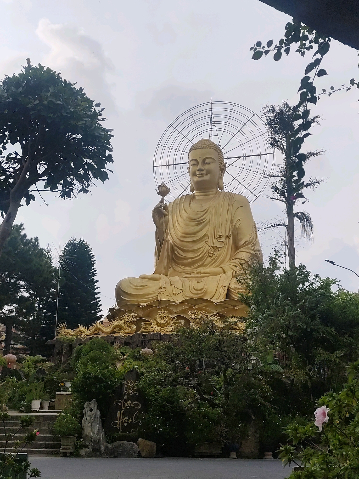 This image captures a serene outdoor scene featuring a colossal golden Buddha statue situated in Lâm Viên - Đà Lạt, Vietnam. The Buddha, in a seated meditation posture, holds a lotus flower in its right hand. A large, intricate metallic halo, resembling a spoked wheel, encircles the statue's head. The statue rests atop a decorative base adorned with golden dragon sculptures.
The immediate foreground is lush with dense green vegetation, including trees, bushes, and potted plants. A pink flower is visible on a branch in the lower right corner of the frame. In the mid-ground, stone stairs ascend towards the statue, flanked by more greenery and a large rock inscribed with Vietnamese calligraphy. The background consists of tall, dark green pine trees and a cloudy, overcast sky. The overall atmosphere is peaceful and spiritual.