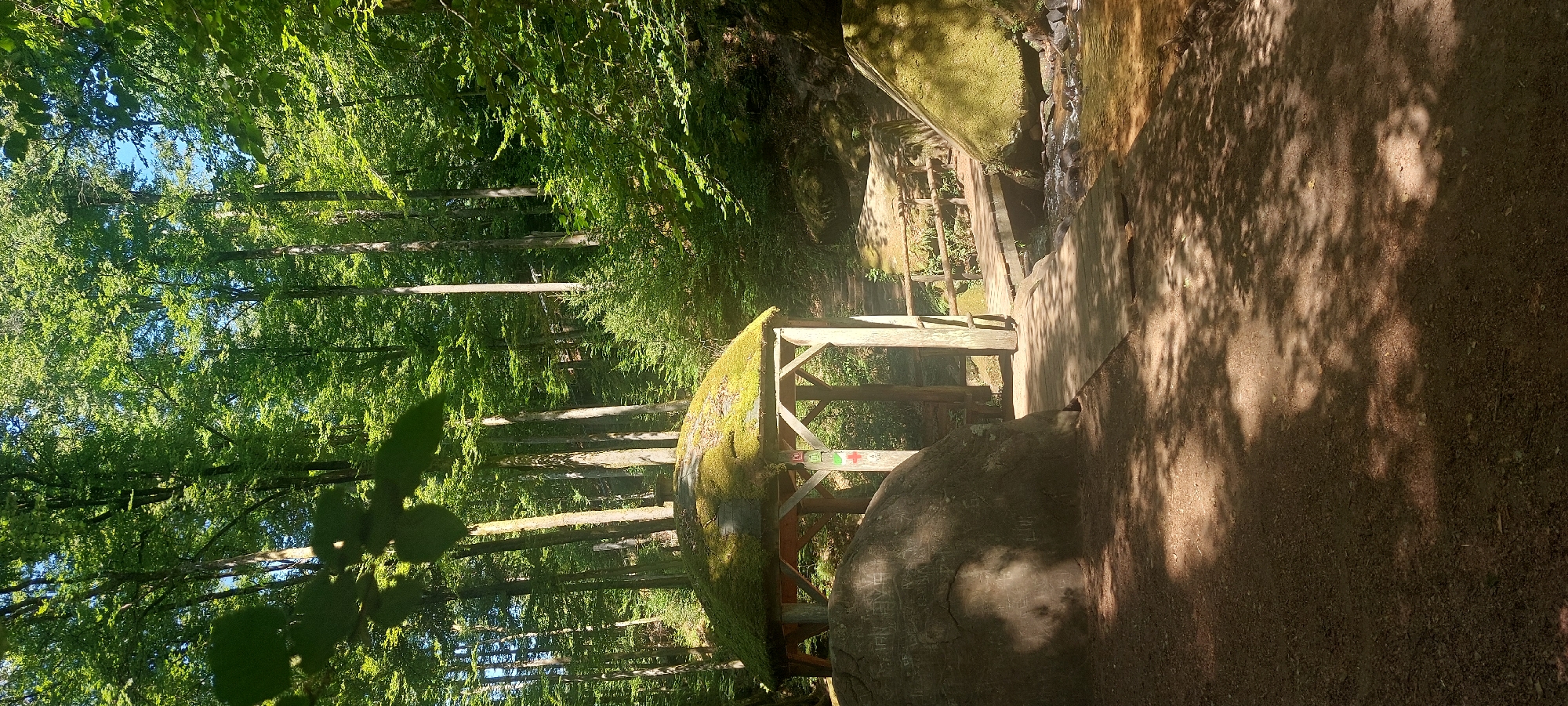 The image depicts a tranquil forest scene in Trippstadt, Germany. A wooden gazebo, partially covered in moss, stands prominently on the left side of the frame. In front of the gazebo, a large, rounded boulder is visible, with faint carvings on its surface. A wooden walkway leads towards the gazebo and then extends to a wooden bridge crossing a small stream. The stream flows over rocks, and moss-covered boulders are present on the right bank. The surrounding environment is dense with lush green trees and foliage, indicating a natural, forested area. Sunlight filters through the leaves, casting dappled shadows on the ground and walkway. The scene appears peaceful and idyllic, suggesting a recreational or natural attraction within Trippstadt.