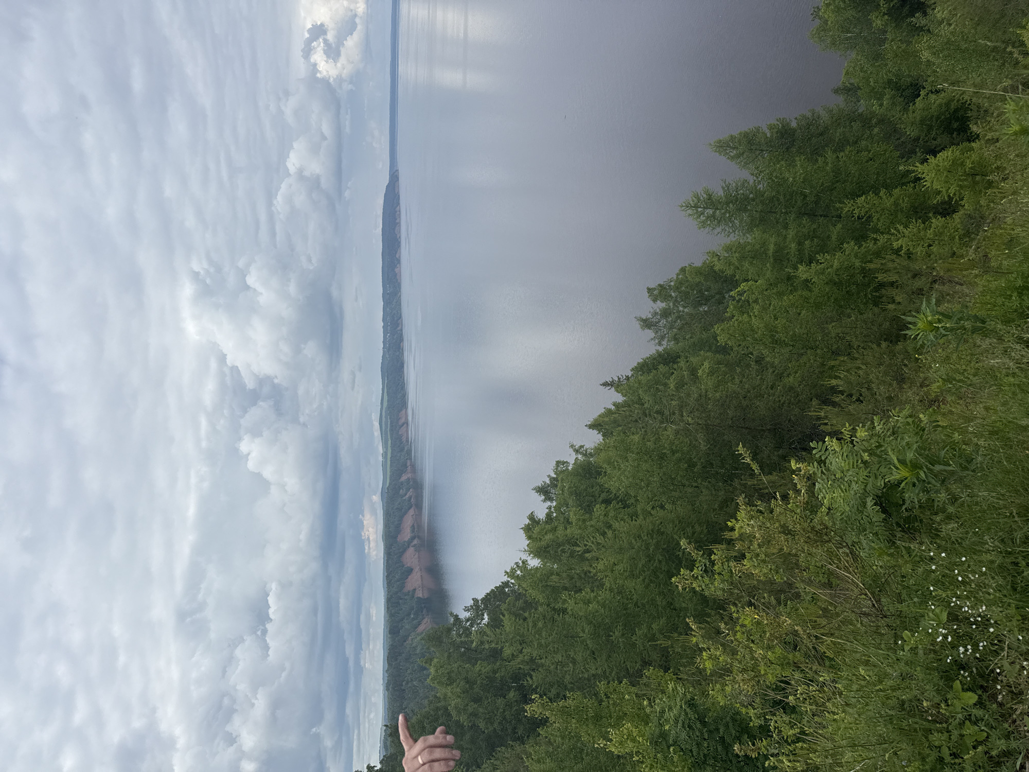 The image captures a panoramic view of a vast natural landscape, likely from a high vantage point overlooking a large body of water. The scene is dominated by a wide river or lake in the mid-ground, its surface reflecting the overcast sky and appearing calm. On the far side of the water, a long, distant landmass is visible, characterized by a forested coastline with some patches of reddish-brown earth exposed along its banks.
In the immediate foreground, dense green foliage, including trees, bushes, and grass, frames the bottom right portion of the view. Some small white flowers are scattered among the greenery. A human hand, wearing a ring on the index finger, is visible in the lower-left corner of the frame, pointing horizontally towards the distant shore across the water.
The sky, occupying the upper-left part of the image, is heavily overcast with numerous gray and white clouds, indicating a cloudy daytime. Despite the cloud cover, there is ample light, and the overall atmosphere is one of natural expanse and tranquility. The location is likely Костоваты, Russia, suggesting a view over a major river or large lake in a forested region. There is no visible text in the image.