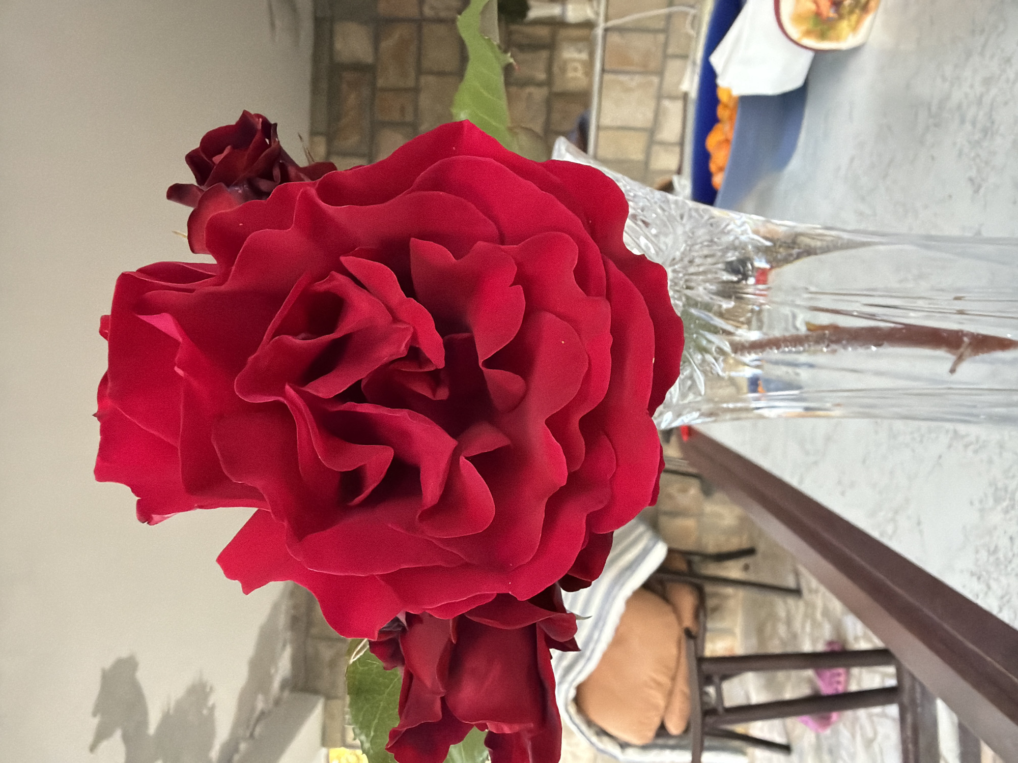 A red rose in full bloom is displayed in a clear, cut-glass vase. There are two smaller, similarly colored buds nearby. The vase appears to be sitting on a white or light-colored surface. In the background, there is a brick wall and miscellaneous objects, including what seems to be a chair, pillow, and a glimpse of a table with a white cloth. The overall composition is indoors. The geographical location mentioned, Gošići, Montenegro, cannot be verified based on the image alone.