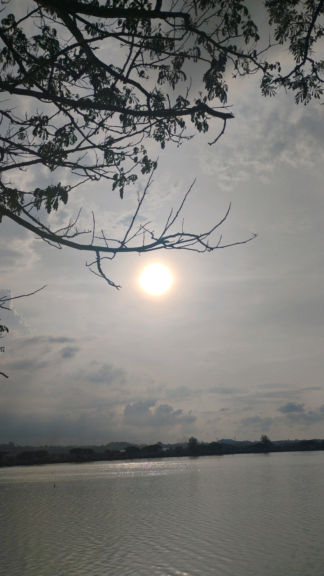 The image depicts a serene natural scene in Lhokseumawe, Indonesia, under a moderately cloudy sky. The sun is visible as a bright, glowing orb in the upper center of the frame, its light reflecting off the rippling surface of a body of water that occupies the lower half of the image. The water's surface displays shimmering highlights. Silhouetted against the sky, branches and leaves of a tree frame the top portion of the image, creating a natural canopy. In the distance, a dark, tree-lined horizon stretches across the frame, suggesting the presence of land beyond the water. The overall impression is one of tranquility and natural beauty, characteristic of the landscape around Lhokseumawe.