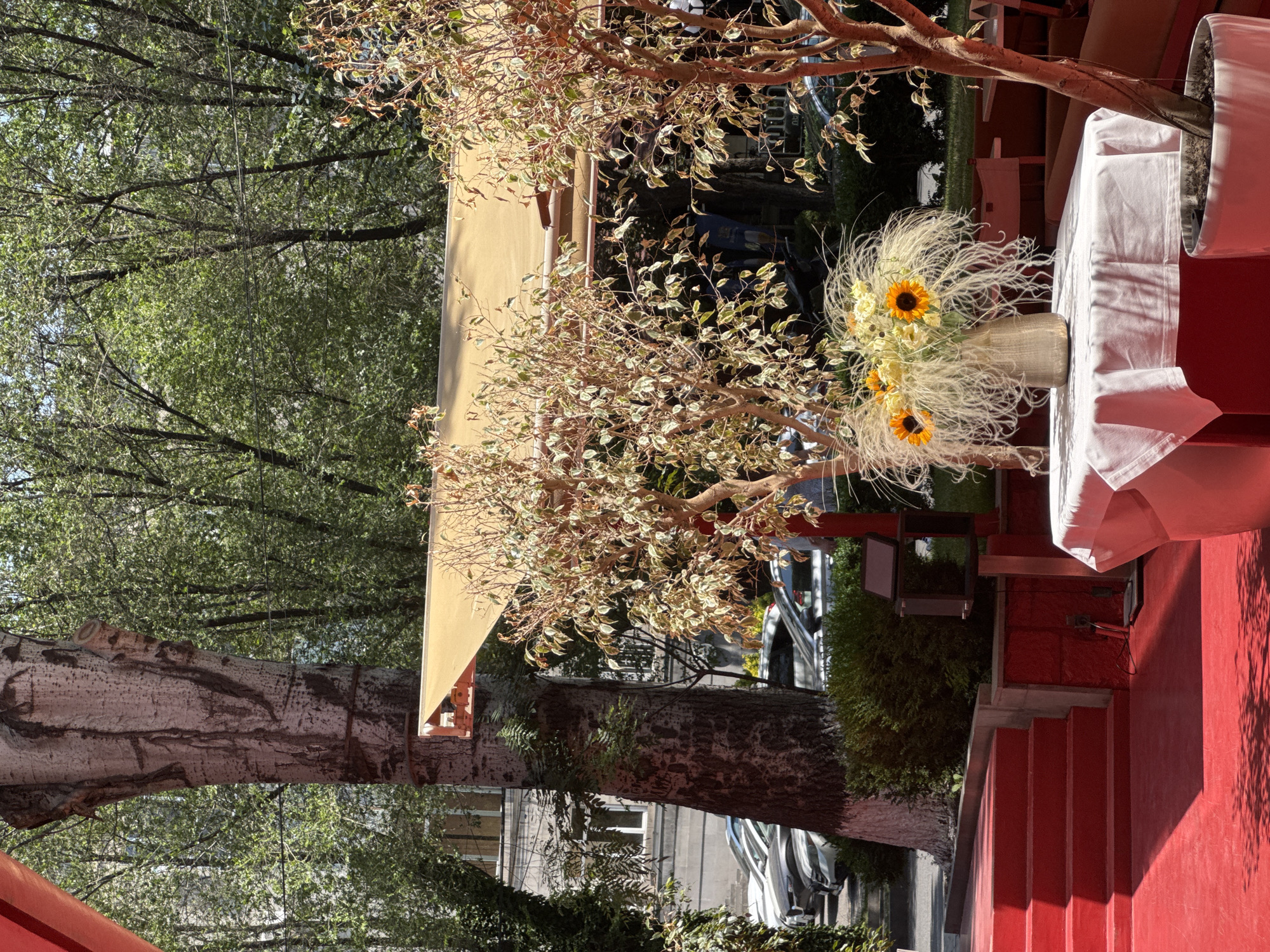 The image depicts an outdoor seating area, likely a cafe or restaurant, with a vibrant red carpeted staircase leading up to an elevated platform. A large tree with rough bark stands prominently on the left side of the frame. In the foreground, a round table is covered with a white tablecloth and adorned with a vase of flowers, featuring sunflowers and feathery ornamental grass. To the right, a smaller tree in a white pot stands. In the background, several cars are parked along a street lined with trees and buildings. The scene suggests a sunny day in a city environment, with elements of both nature and urban infrastructure. The architectural style of the building in the background, particularly the windows, suggests a location in Yerevan, Armenia.
